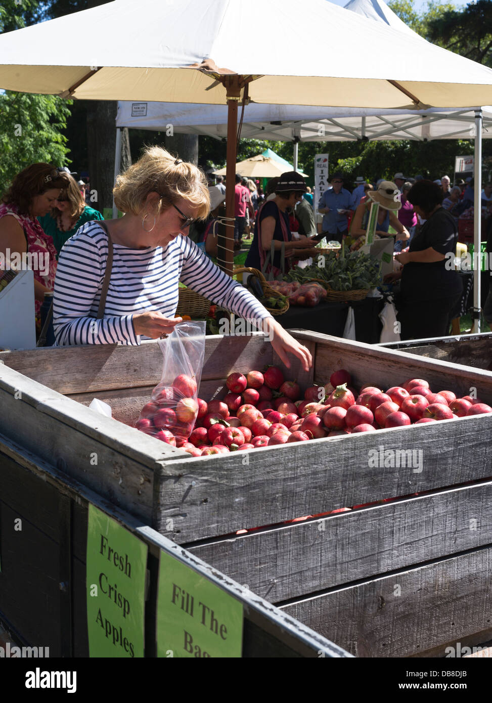 dh Domenica Farmers Market HASTINGS NUOVA ZELANDA Lady raccogliere frutta negozio alimentare verde hawkes bay cibo frutta fresca Foto Stock