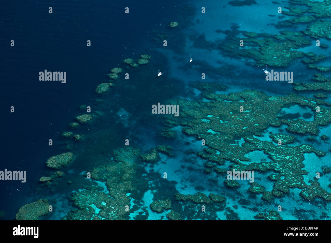 Vista aerea di yacht ormeggiati a Bait Reef. Great Barrier Reef Marine Park, Whitsundays, Queensland, Australia Foto Stock