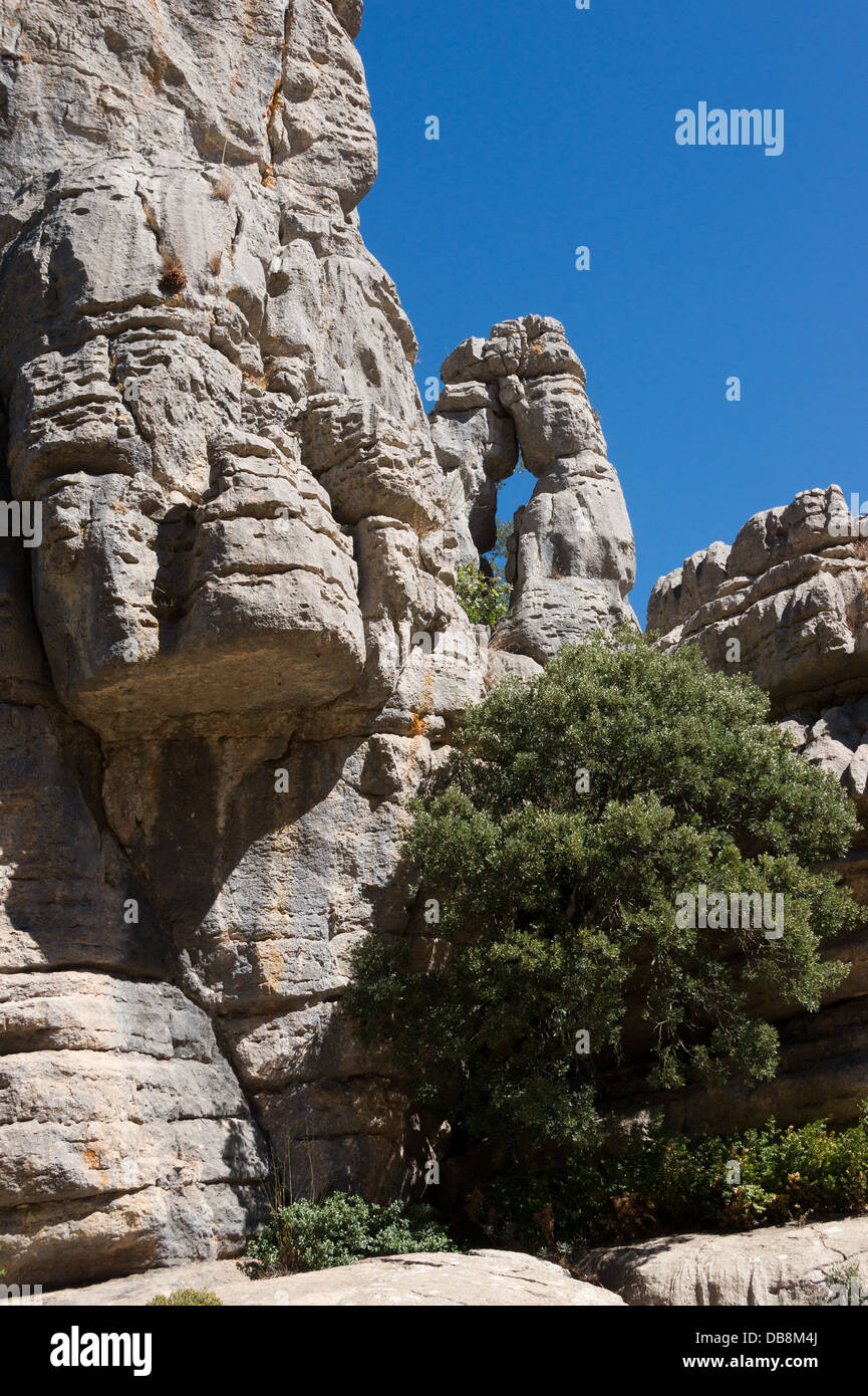 Erosione e foro nel carso, El Torcal de Antequera, Andalusia, Spagna. Foto Stock