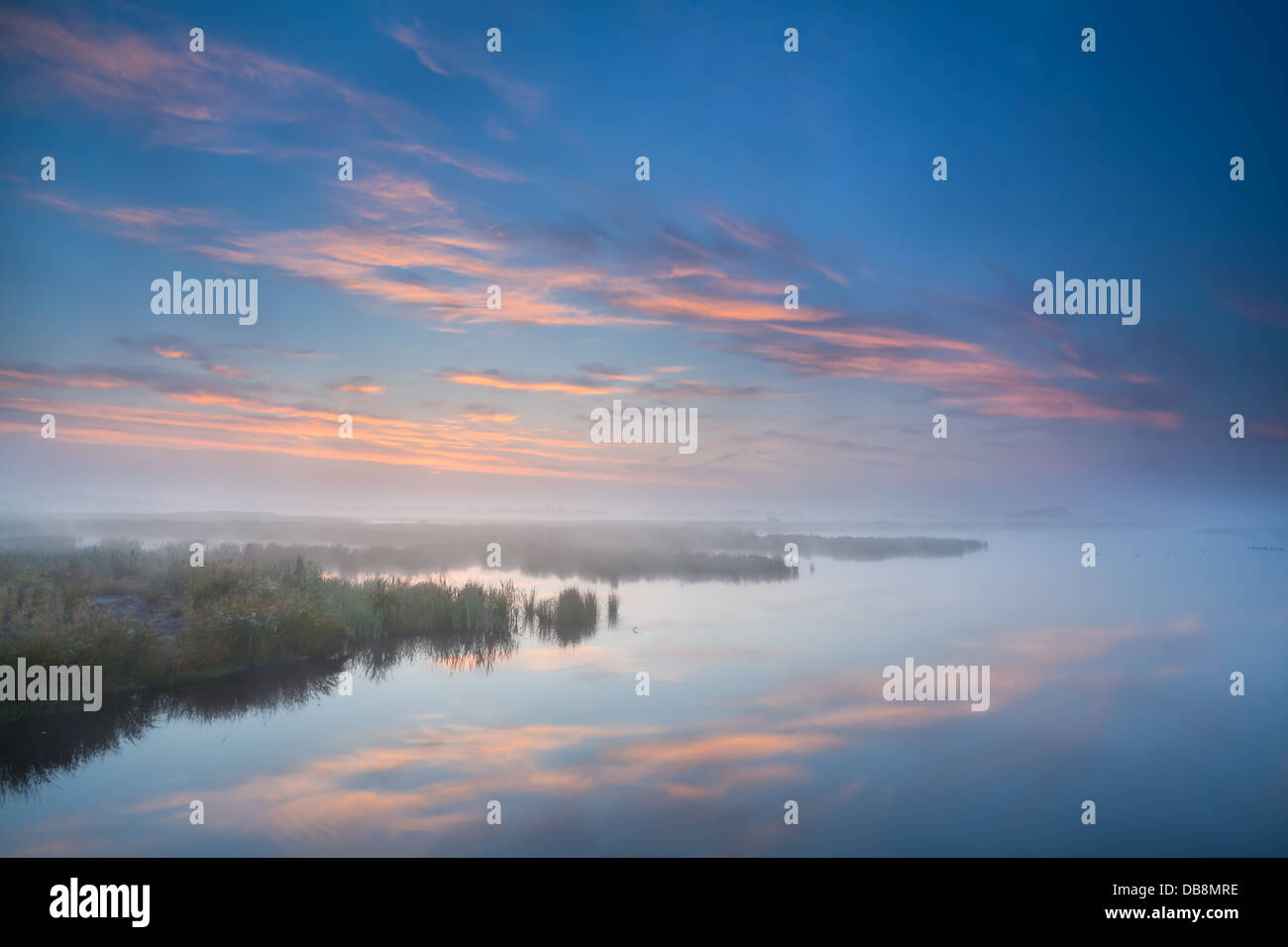 Il cielo si riflette nel lago a foschia mattutina, Onlanden, Groningen, Paesi Bassi Foto Stock