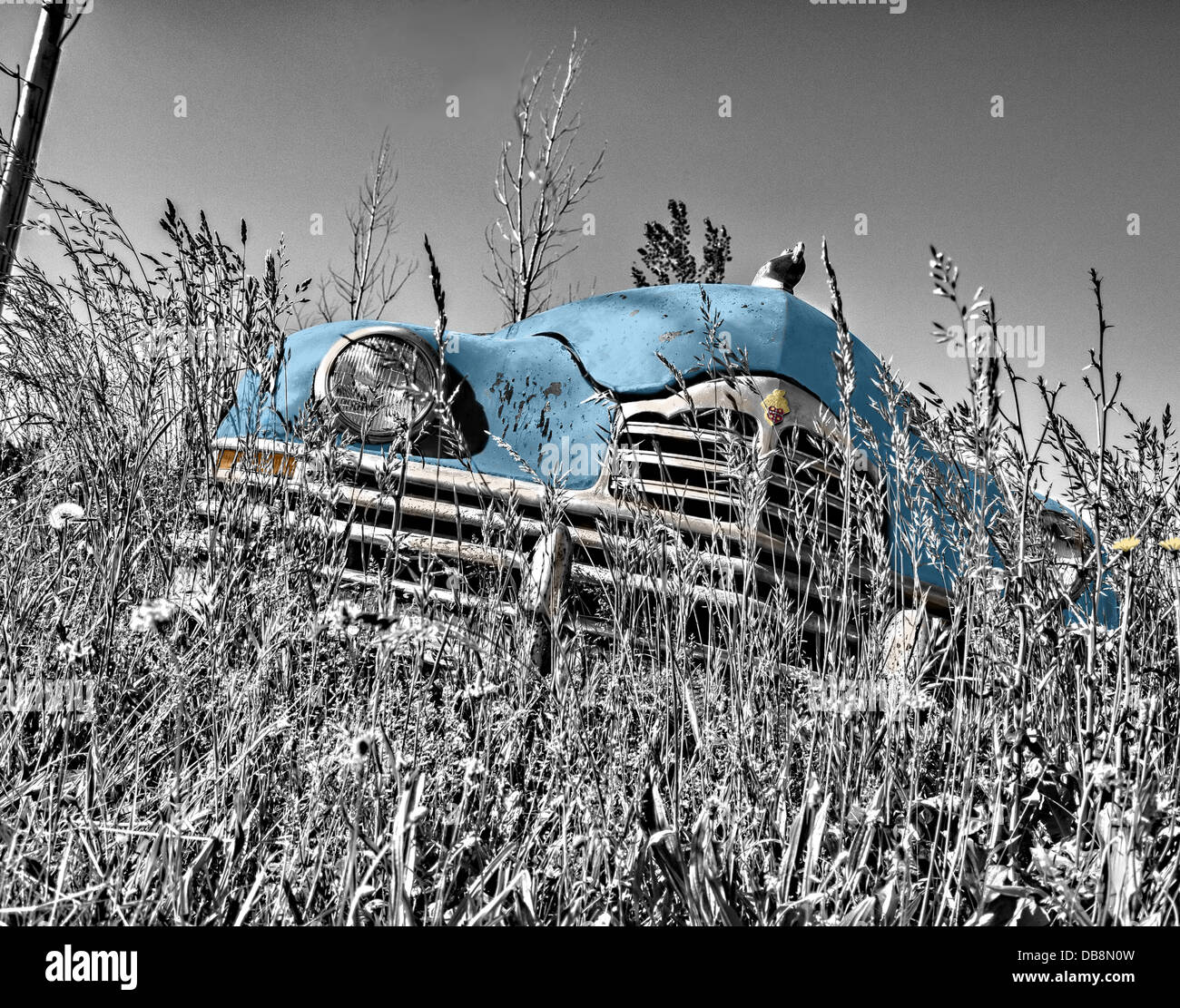 Un'auto d'epoca in un campo rurale, che mostra la nostalgia delle epoche passate dei trasporti. L'auto, forse abbandonata, rappresenta il passare del tempo e l'evoluzione dei veicoli nel corso degli anni. Foto Stock