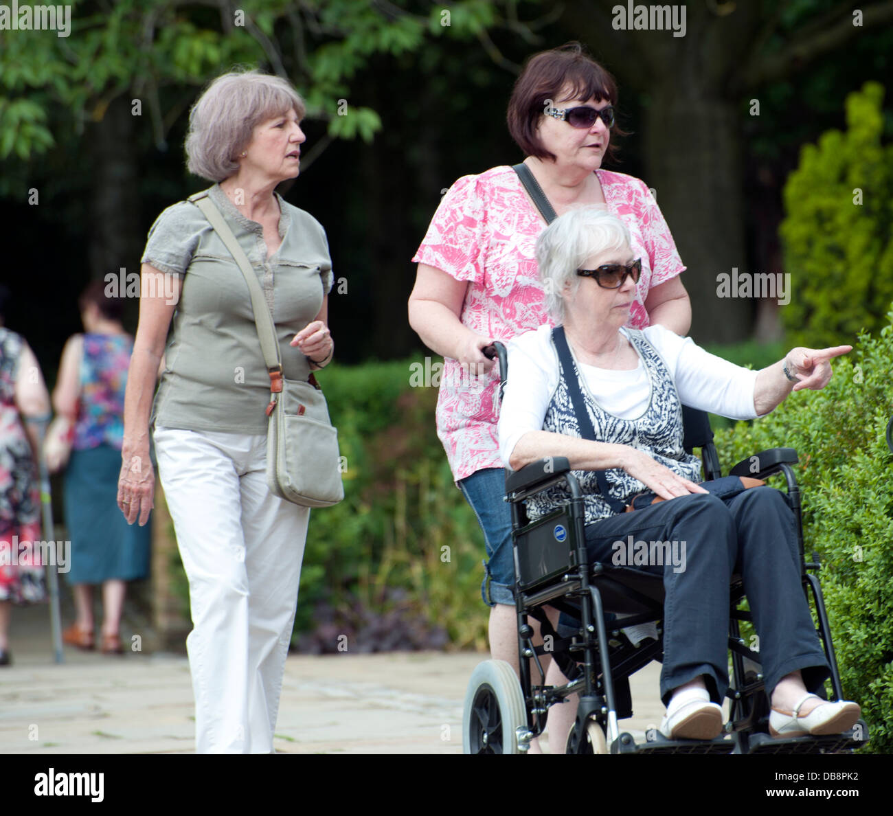 Diversi anziani adulto passeggiate nel parco di uomo adulto donne adulte e sedia a rotelle Foto Stock