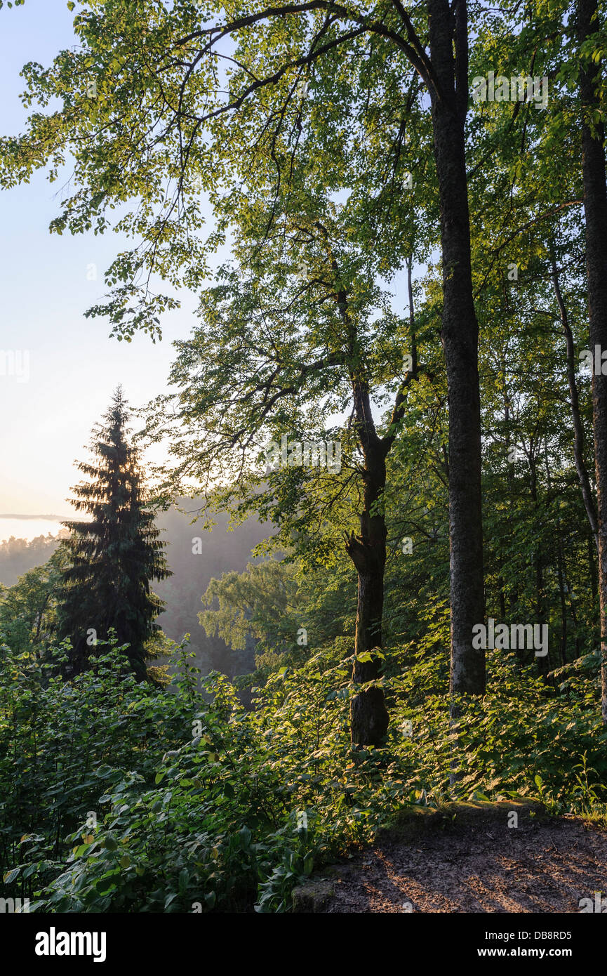 Atmosfera mattutina a Paradise Hill vicino a Sigulda, Lettonia, Europa Foto Stock