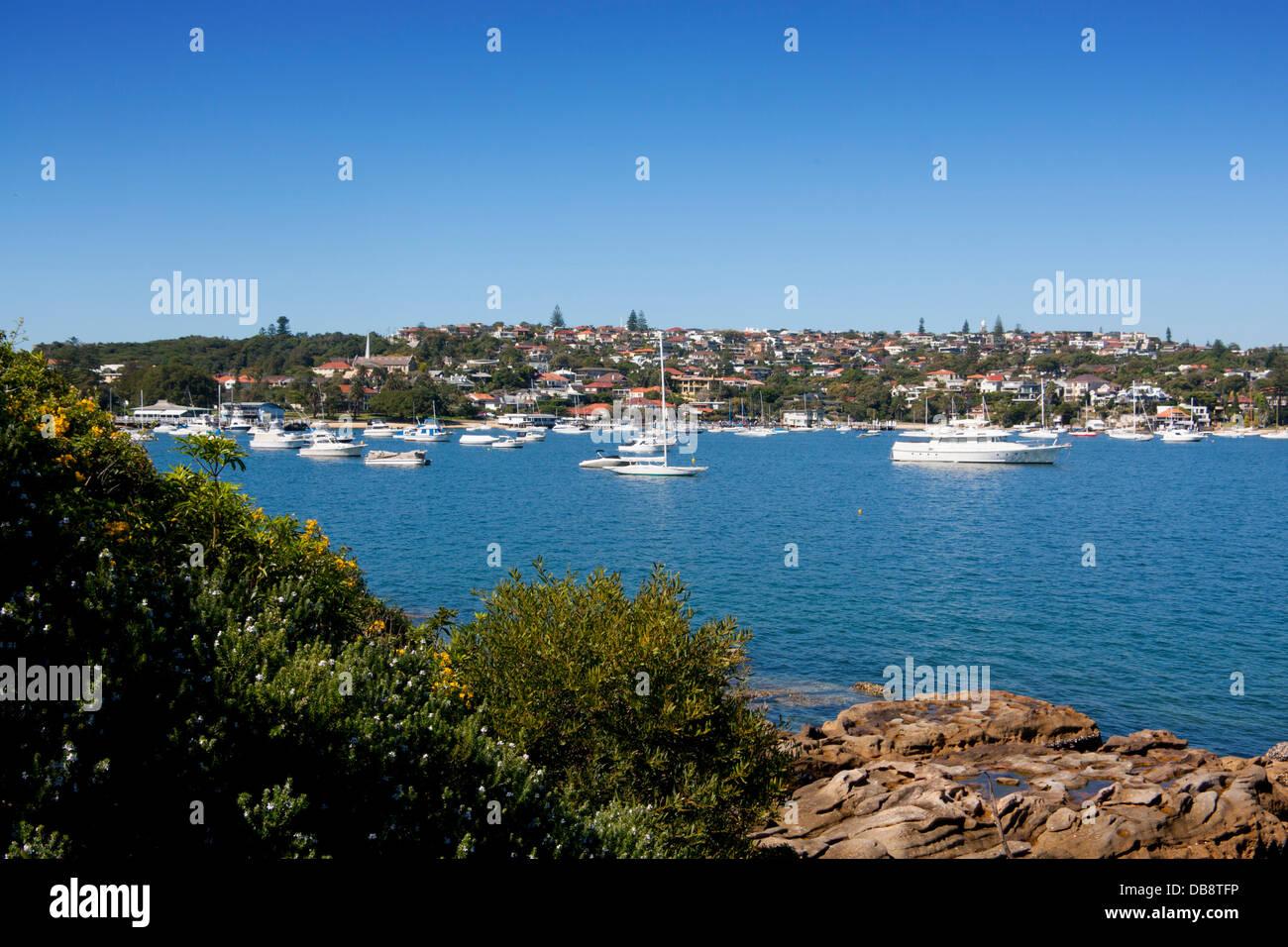Watsons barche nel porto sobborghi orientali il Porto di Sydney Sydney New South Wales NSW Australia Foto Stock
