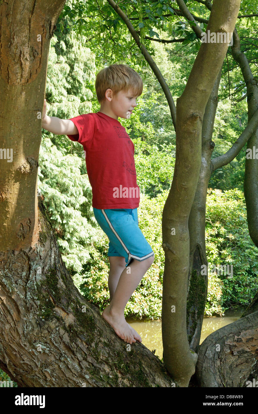 Giovane ragazzo in una struttura ad albero Foto Stock