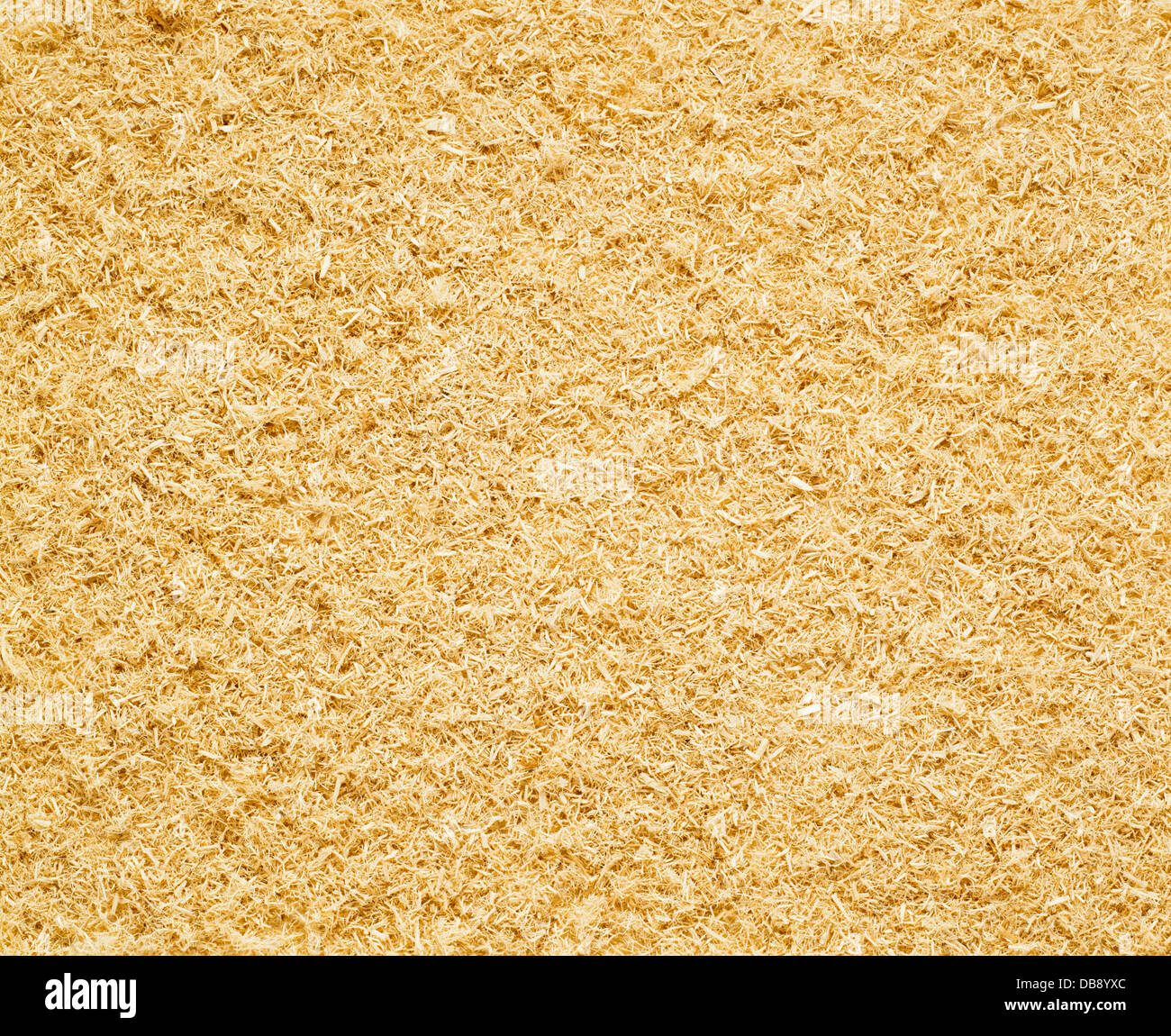 Schegge di legno immagini e fotografie stock ad alta risoluzione - Alamy