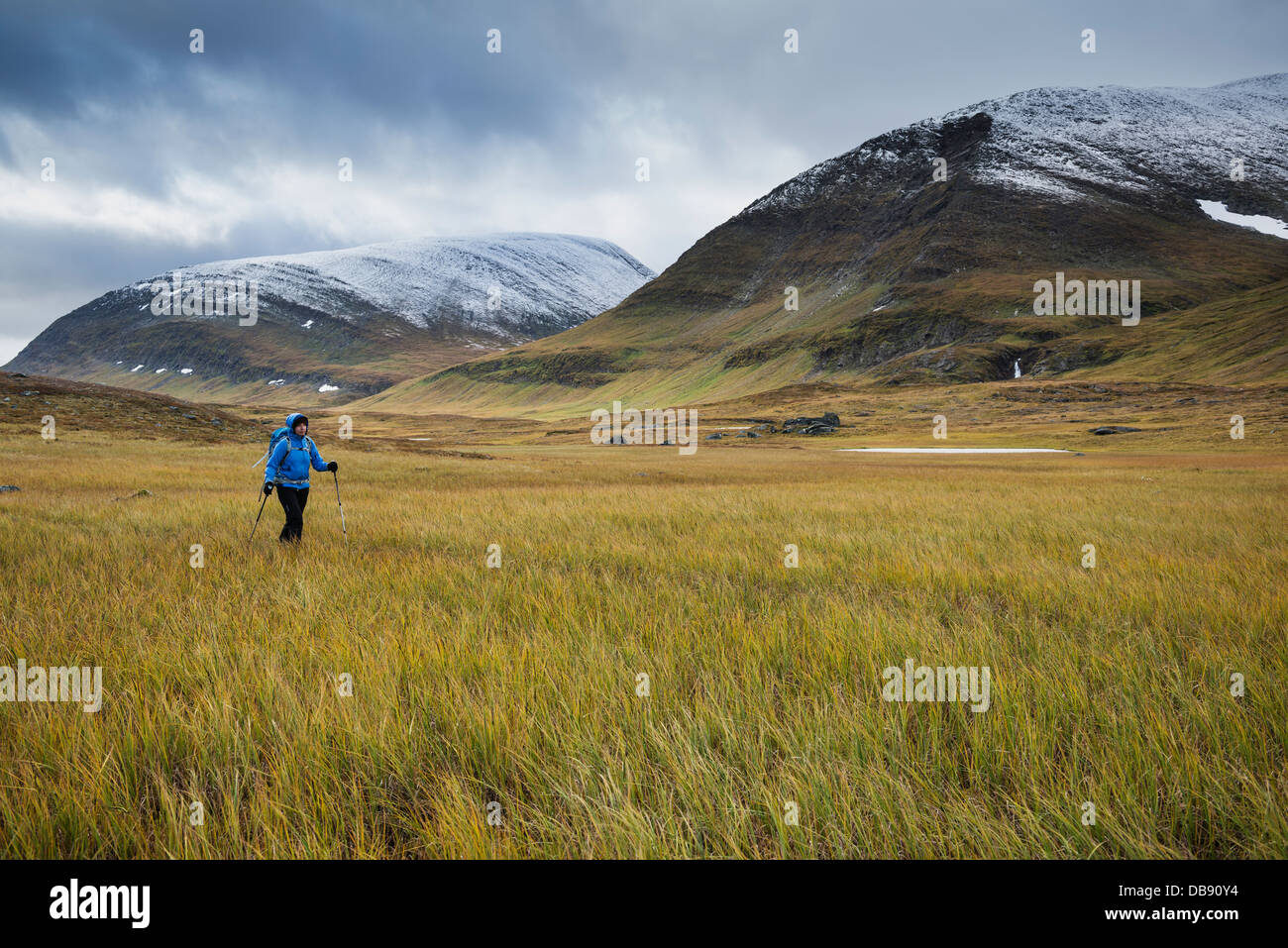 Escursionista femmina passeggiate lungo il sentiero Kunsleden a nord di Sälka baita di montagna, Lappland, Svezia Foto Stock