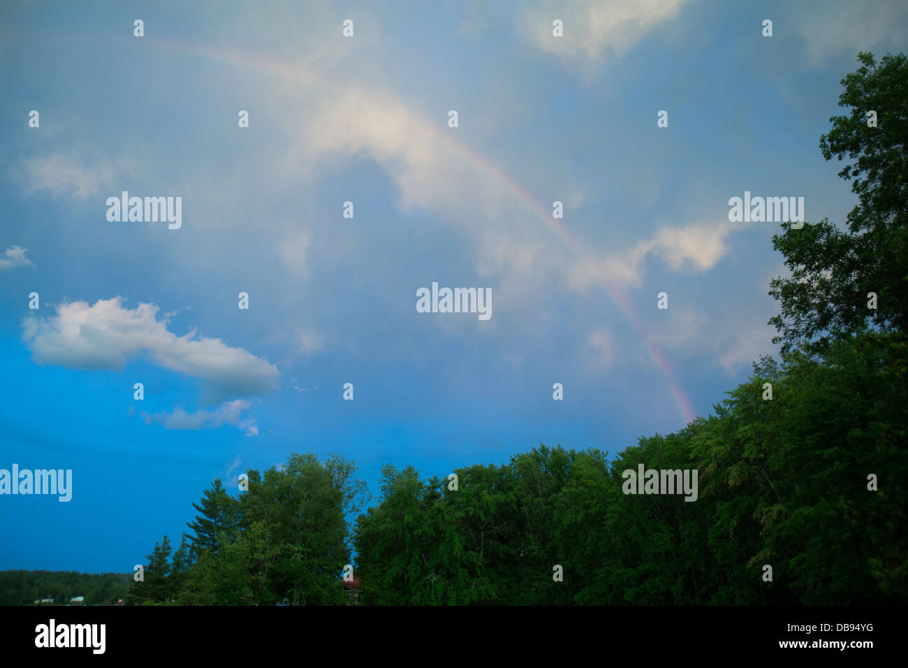 Un arcobaleno su alberi dopo una tempesta Foto Stock