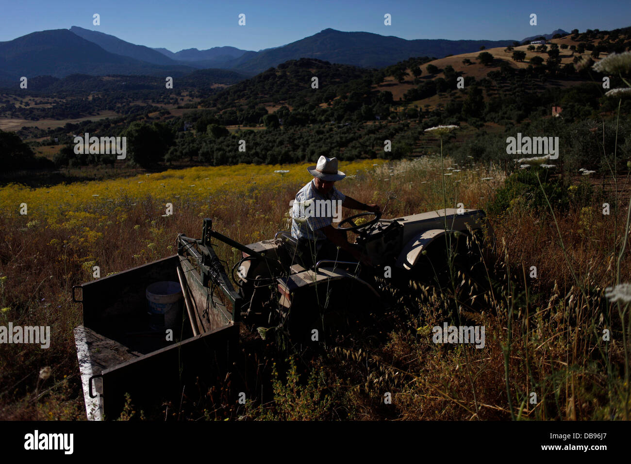 Un agricoltore aziona un trattore attraverso un terreni a riposo a Los Tamayos fattoria organica in Prado del Rey, Cadice, Andalusia, Spagna Foto Stock