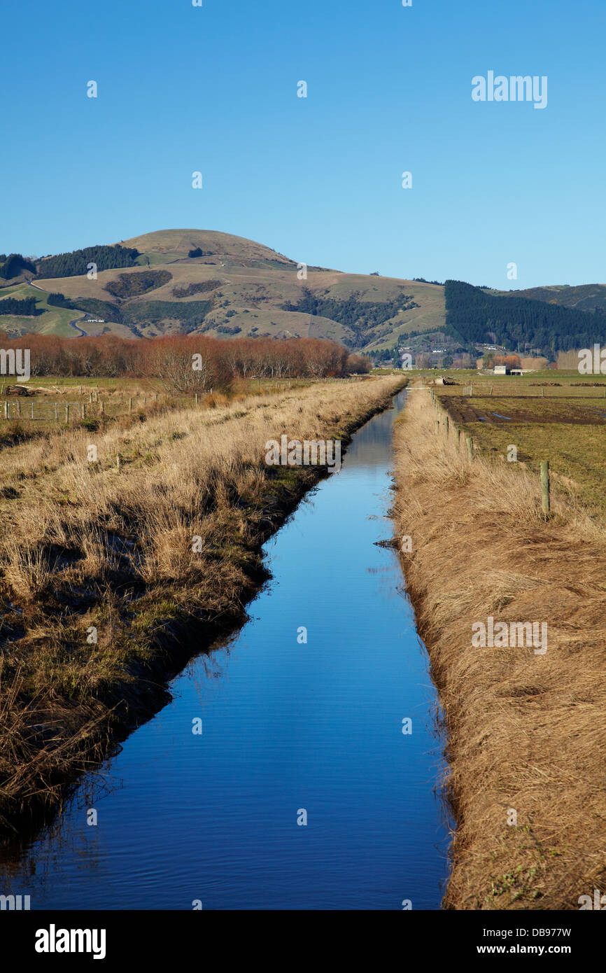 Canale di drenaggio e recintato striscia ripariale, Taieri pianure, vicino a Dunedin, Isola del Sud, Nuova Zelanda Foto Stock