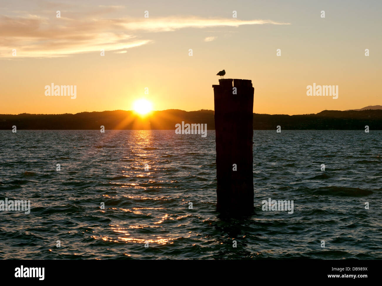 Golden tramonto sul lago di Garda in Italia, vicino a Sirmione con retroilluminazione di un palo di legno e un gabbiano. Foto Stock