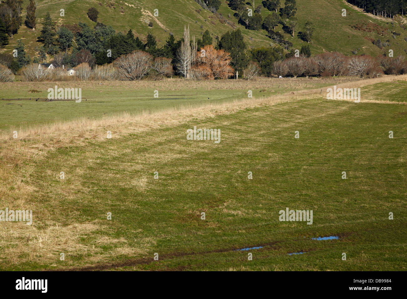 Banca alluvione a Henley, Taieri pianure, vicino a Dunedin, Isola del Sud, Nuova Zelanda Foto Stock