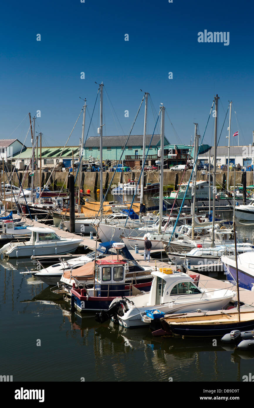 Regno Unito, Galles Ceredigion, Aberystwyth Harbour, barche ormeggiate nella Marina Foto Stock