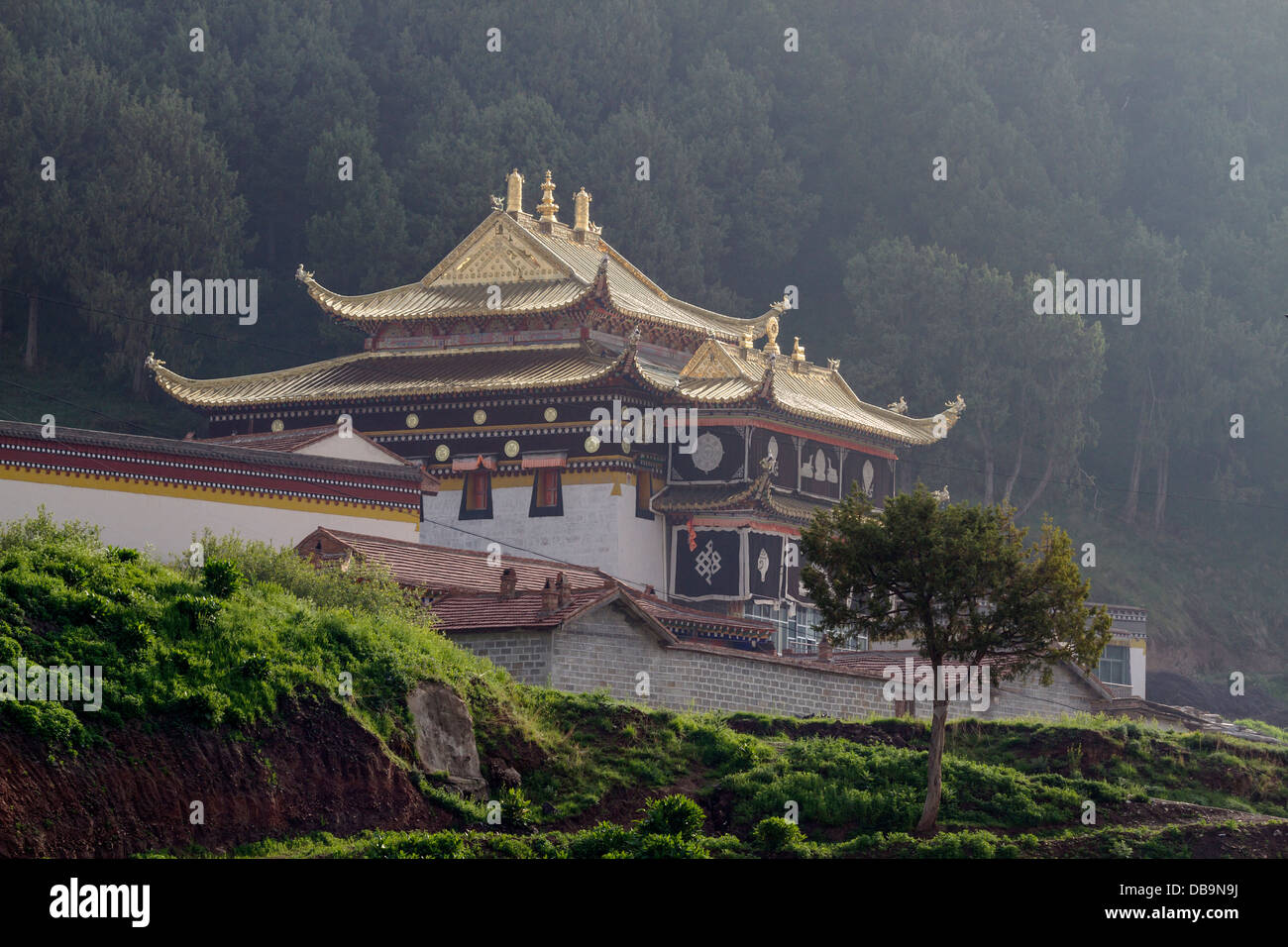 Tempio Langmusi nel Sichuan, in Cina Foto Stock