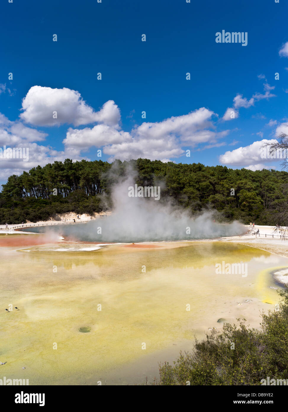 dh Wai o Tapu Thermal Wonderland WAIOTAPU ROTORUA NUOVA ZELANDA NZ Steam geotermale Champagne Pool Artisti palette hot Spring giallo zolfo Foto Stock