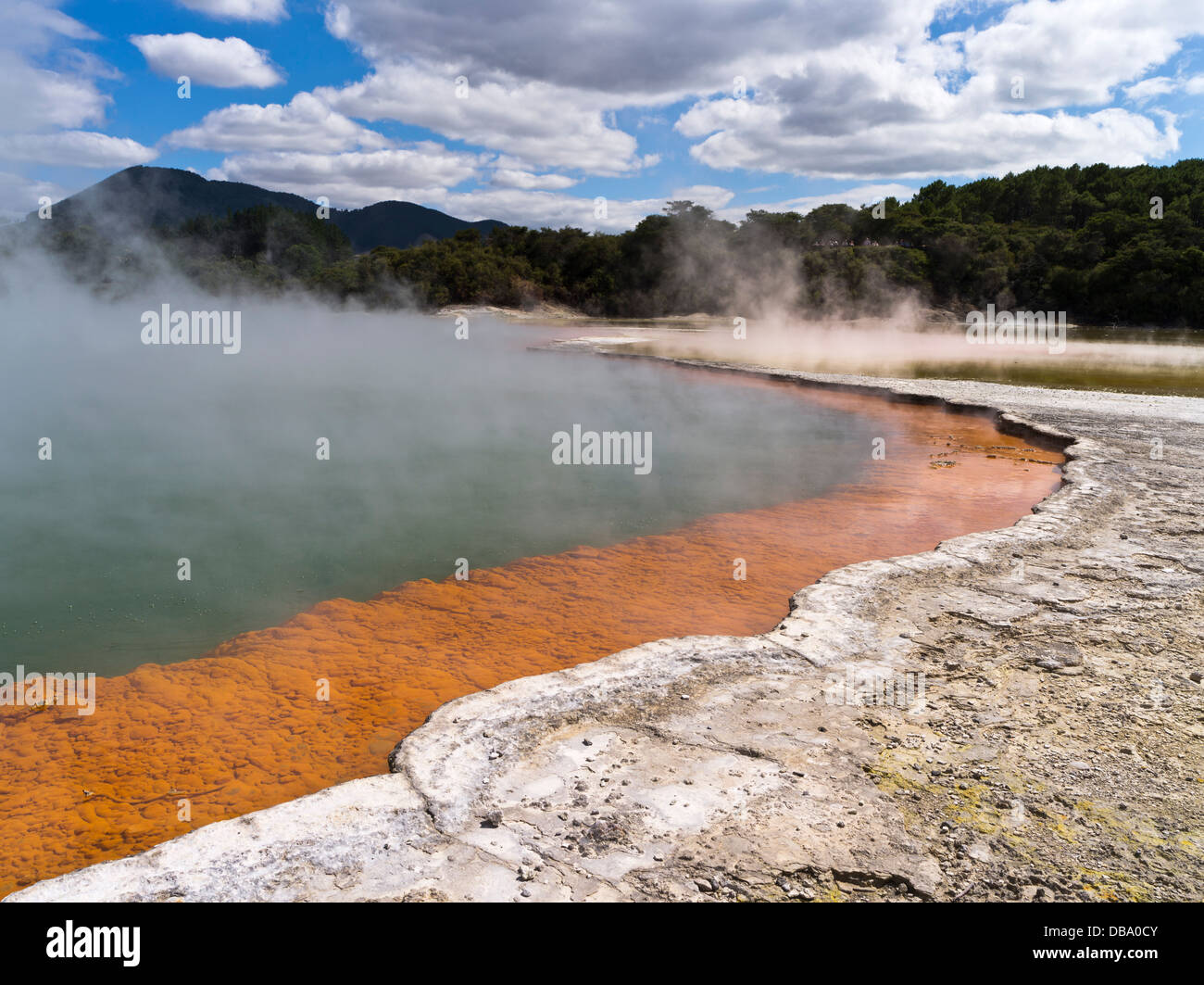 dh Wai o Tapu Thermal Wonderland WAIOTAPU ROTORUA NUOVA ZELANDA NZ Champagne piscina vapore acqua crosta di lava parco geotermico Foto Stock