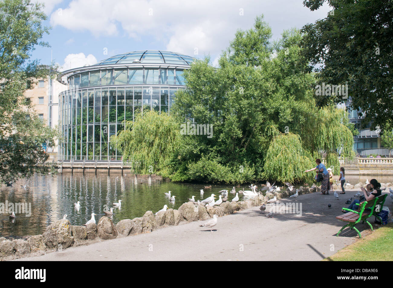Famiglia di uccelli di alimentazione a Sunderland il Mowbray Park, accanto ai giardini invernali, North East England, Regno Unito Foto Stock