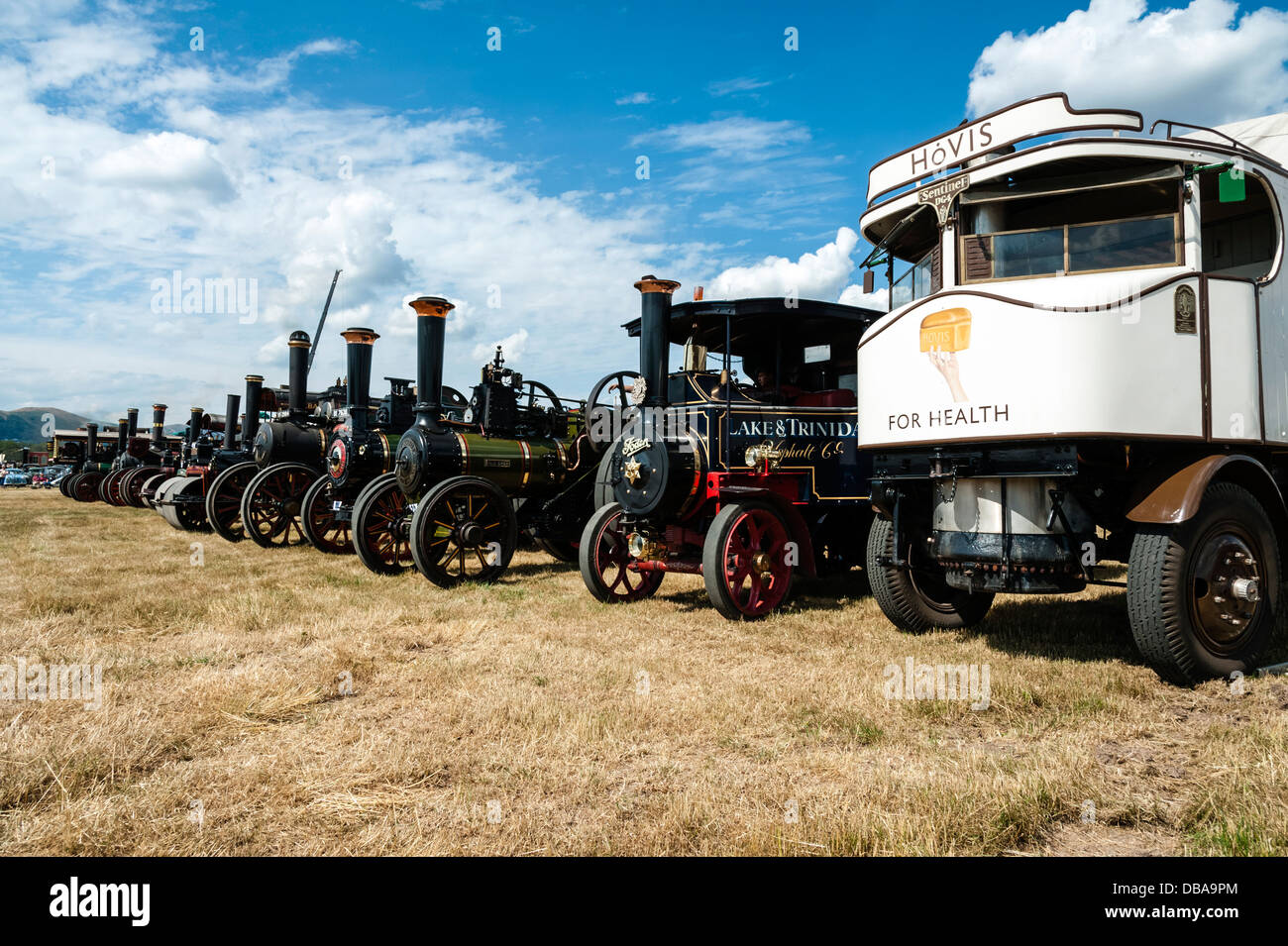 Linea di motori a trazione a vapore Welland rally, vicino a Malvern Hills, Worcestershire, Regno Unito. Foto Stock