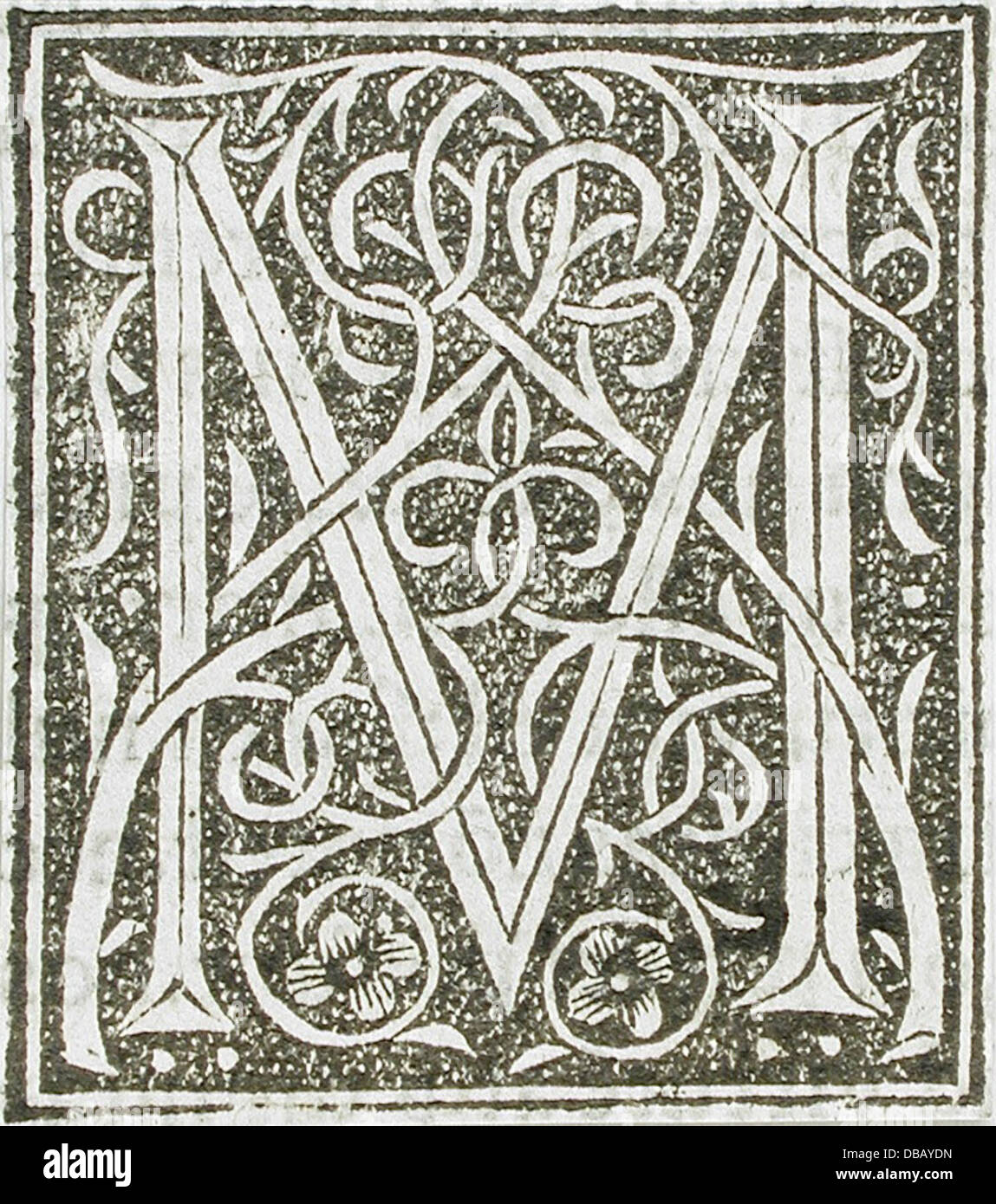 Sedici lettere ornamentali (C, E, M, N, Q, S, V) 53.31.2.12a-p (1 di 16) Foto Stock