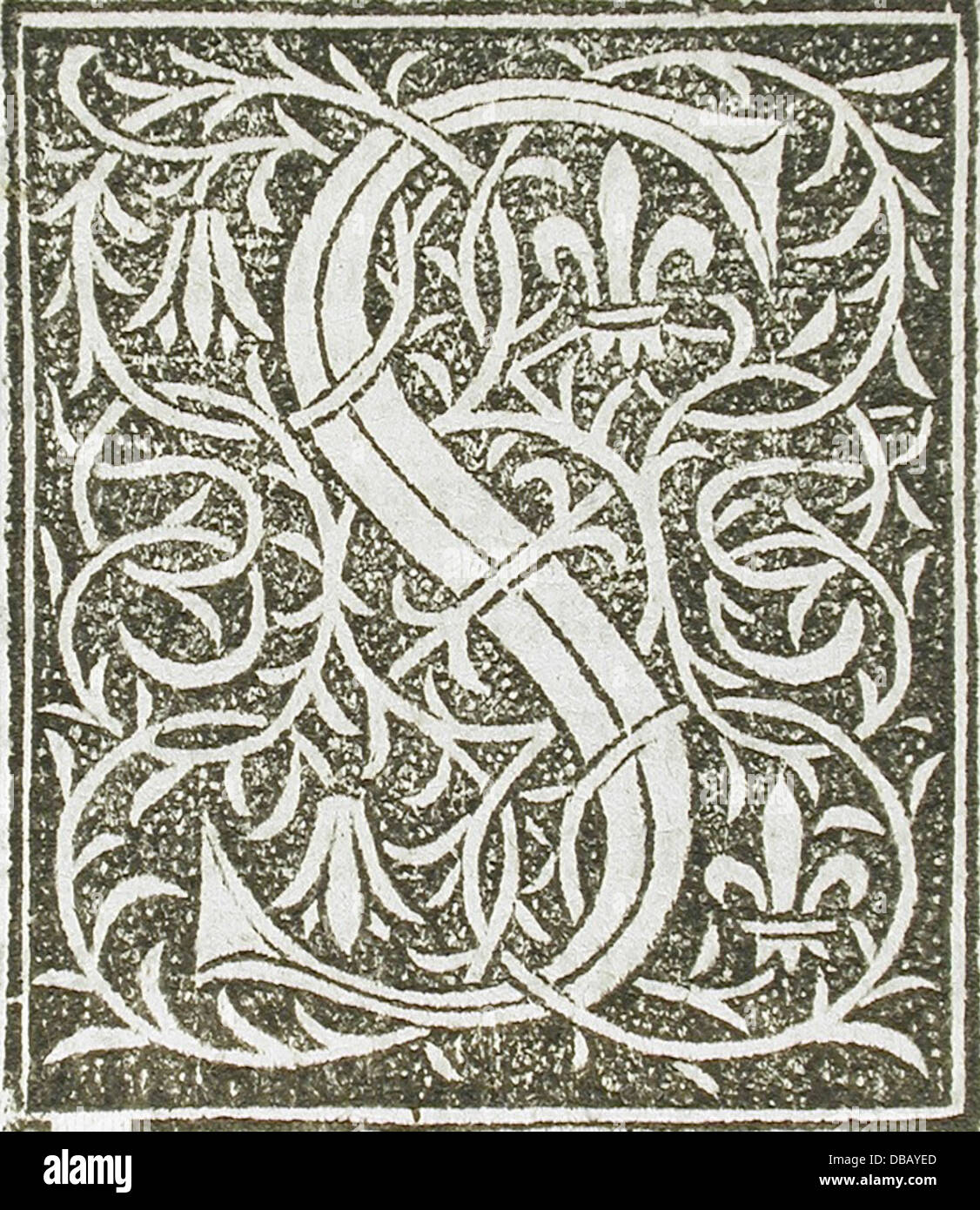 Sedici lettere ornamentali (C, E, M, N, Q, S, V) 53.31.2.12a-p (5 di 16) Foto Stock