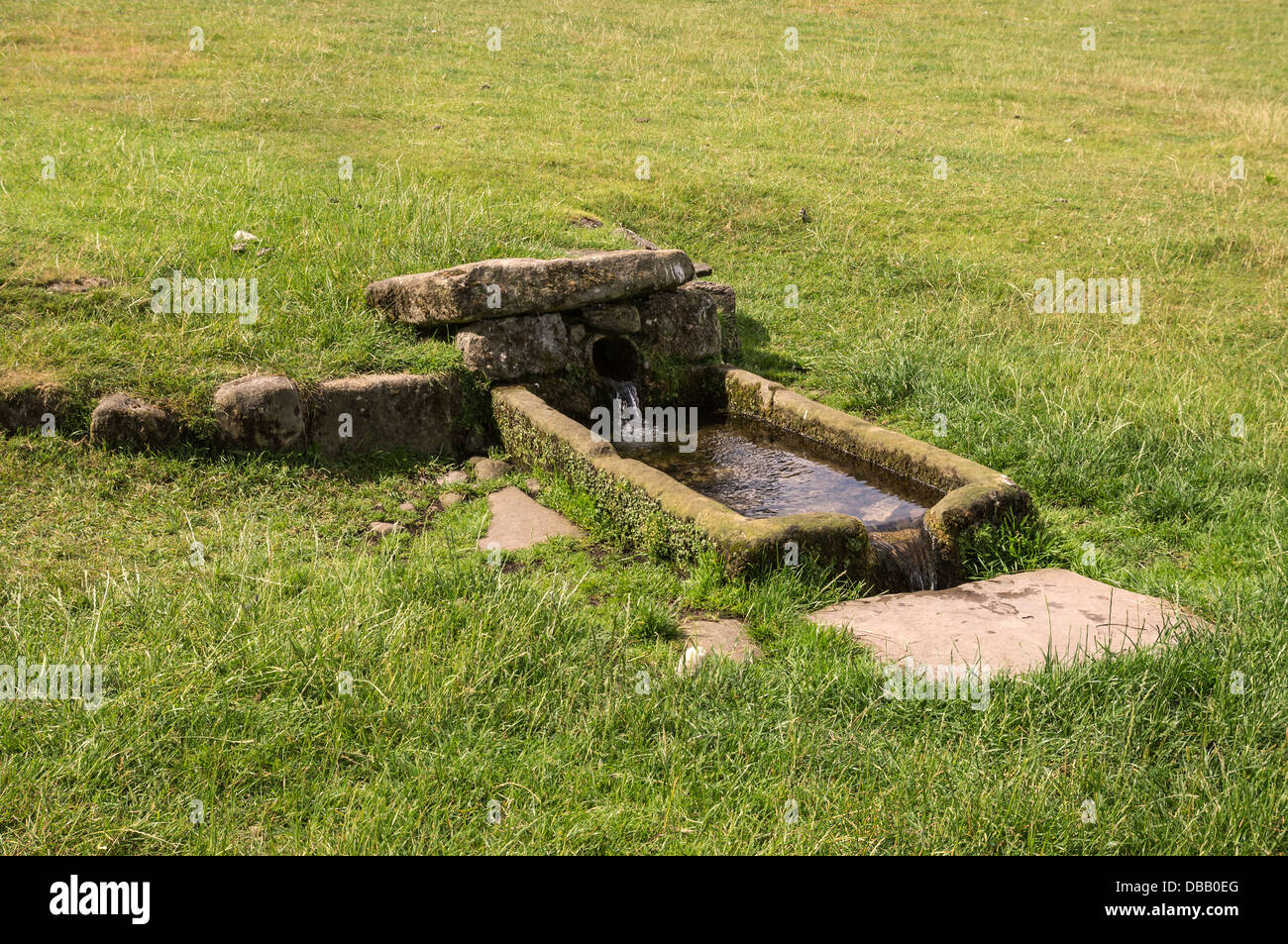 Vecchia alimentazione idrica e trogolo di acqua, Jervaulx Abbey, Wensleydale, North Yorkshire Foto Stock