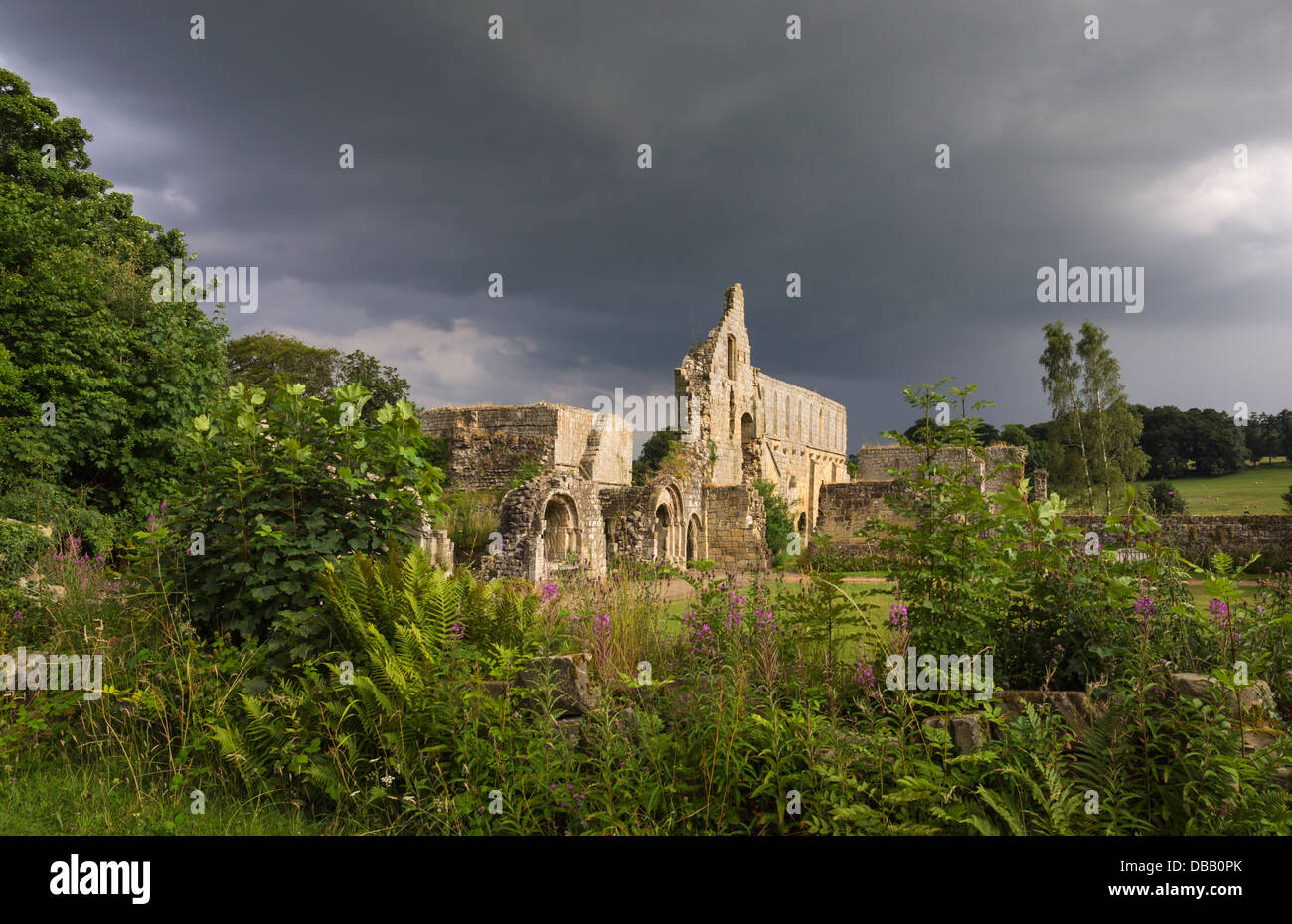 Le rovine di Jervaulx Abbey, North Yorkshire. Foto Stock