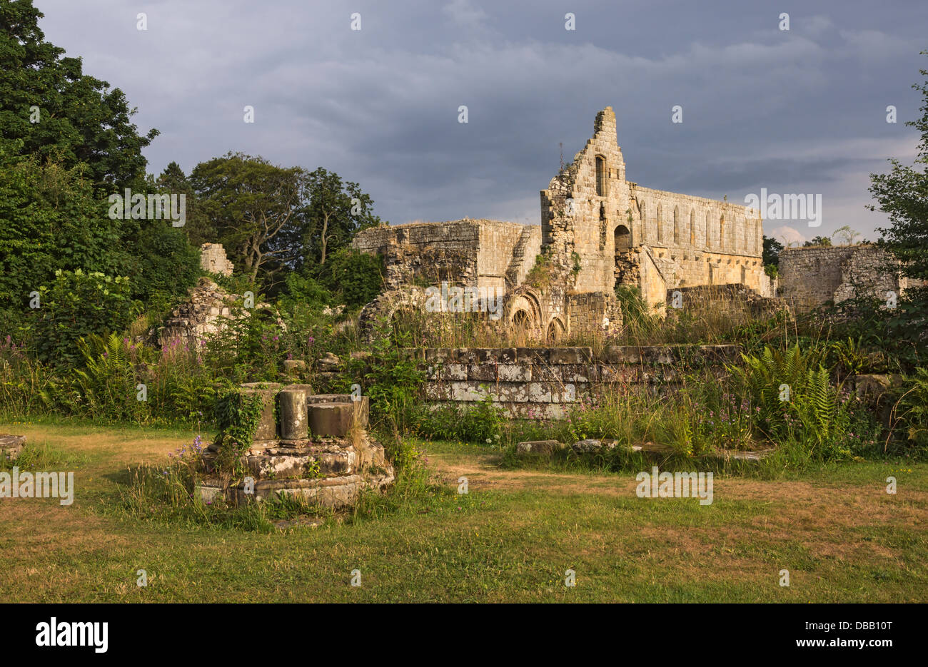 Le rovine di Jervaulx Abbey, North Yorkshire. Foto Stock