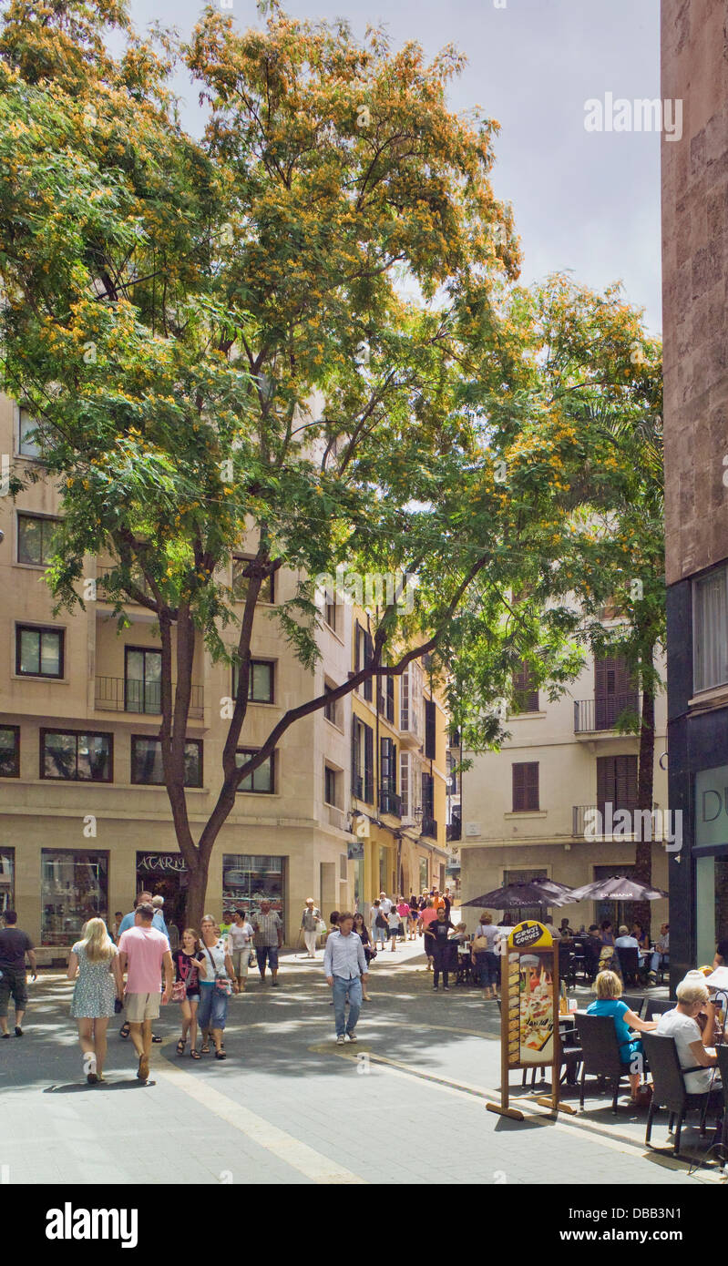 La Plaça del Rosari, Palma di Mallorca Foto Stock