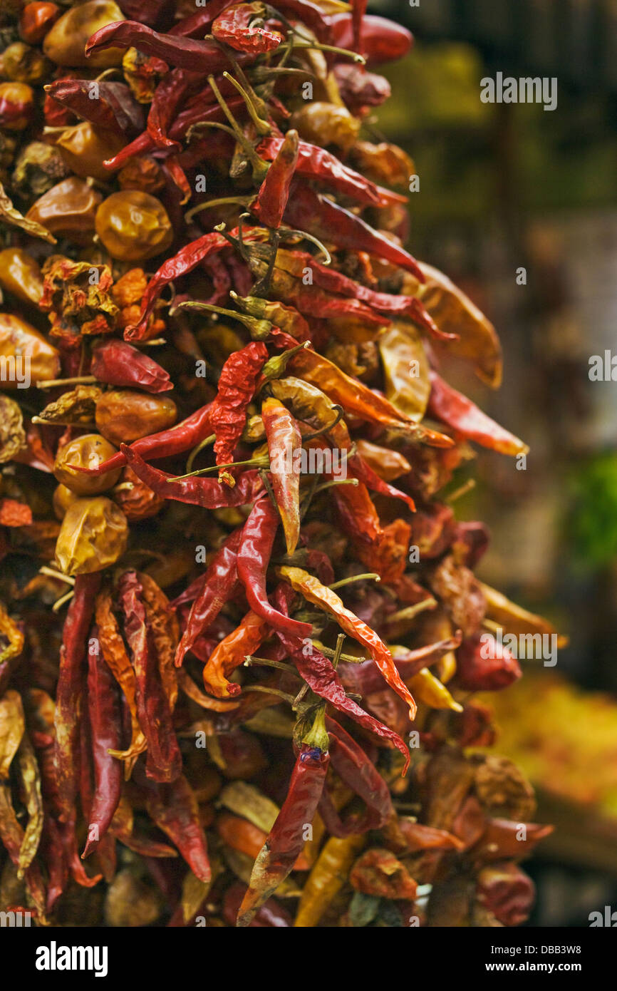 Chilie Pepers, Palma di Maiorca, Spagna Foto Stock