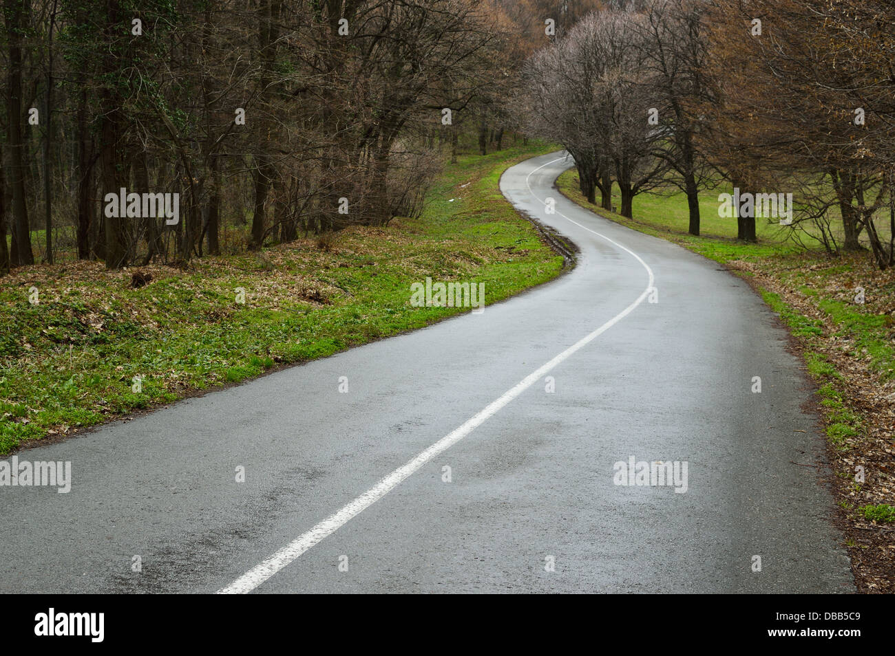 Curva strada asfaltata avvolgimento attraverso il paesaggio. Pioggia di primavera Foto Stock