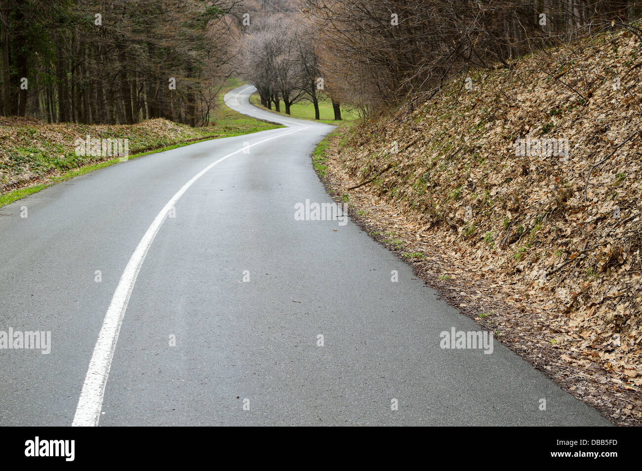 Curva strada asfaltata avvolgimento attraverso il paesaggio. Pioggia di primavera Foto Stock