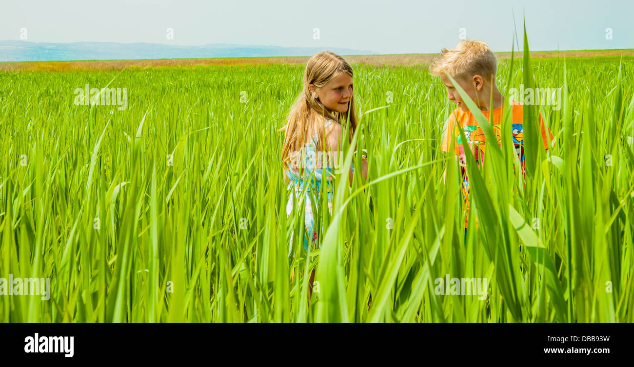 Due bambini, uno di 10 anni ragazza capelli lunghi biondi 9yr boy stile corti capelli biondi in piedi in una palude di lussureggiante verde lungo erba. Foto Stock