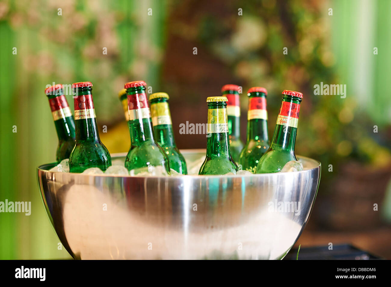 bottiglie di birra Foto Stock