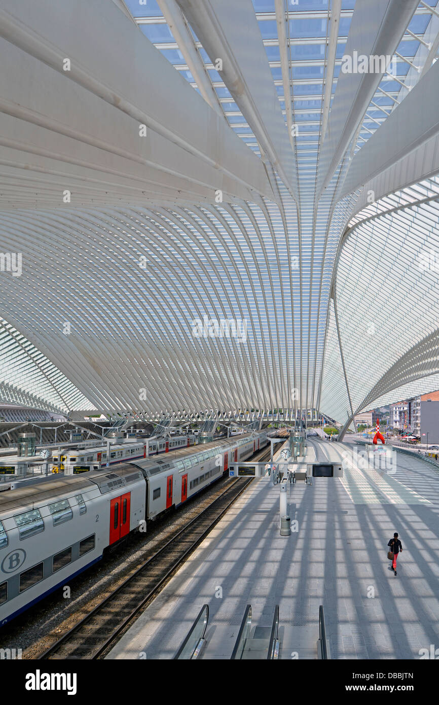 Stazione ferroviaria moderna struttura di costruzione di infrastrutture di trasporto treno con tetto ricurvo ad alto vetro in attesa al binario Liegi Guillemins Belgio UE Foto Stock