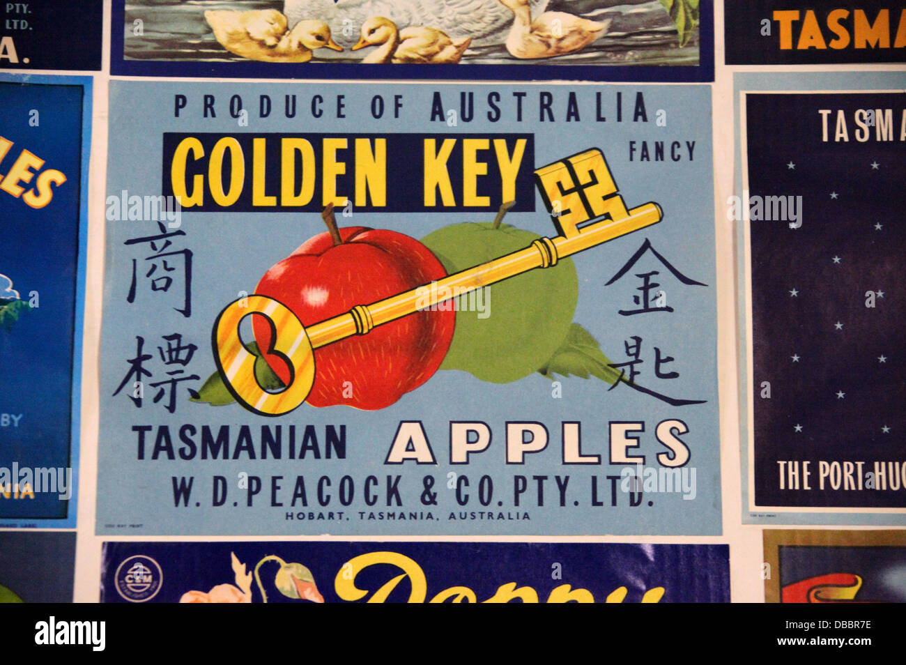 L'imballaggio Apple in mostra presso il Museo di Apple a Grove in Tasmania Foto Stock