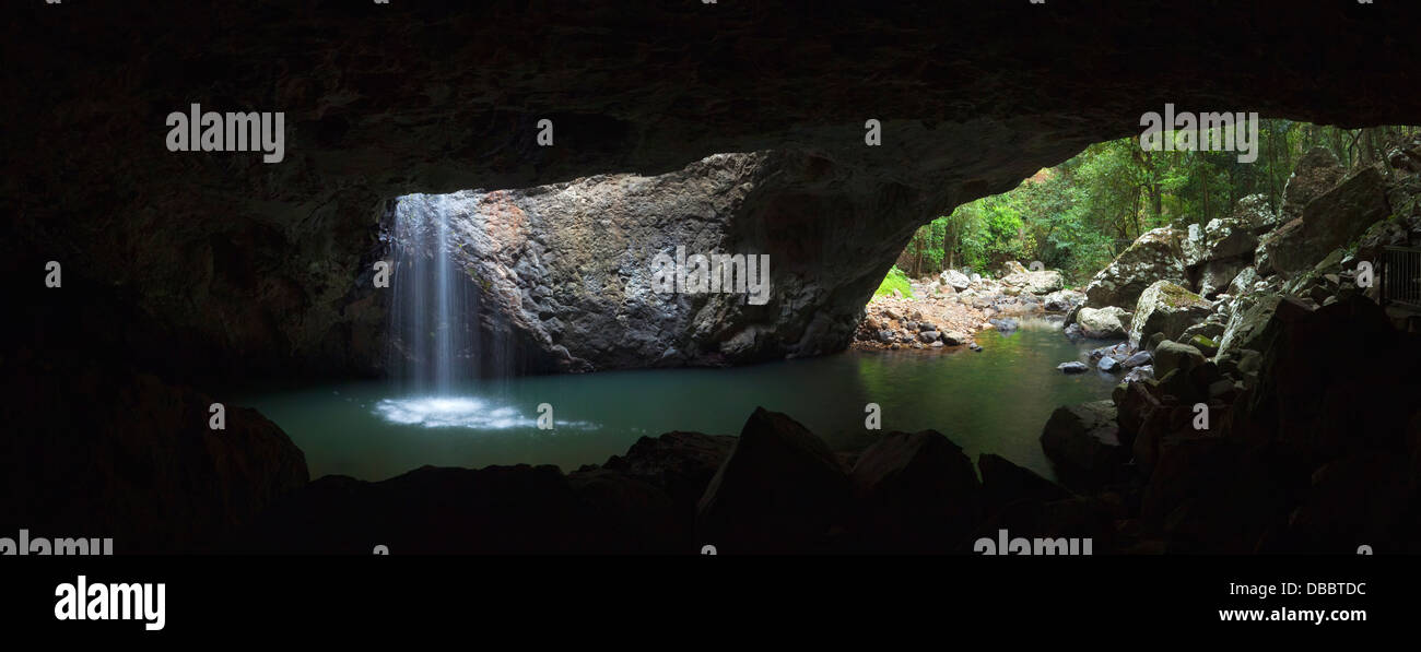 Il Ponte naturale - un'acqua-formata la grotta e la cascata nel Springbrook National Park. Entroterra della Gold Coast, Queensland, Australi Foto Stock Il Ponte naturale - un'acqua-formata la grotta e la cascata nel Springbrook National Park. Entroterra della Gold Coast, Queensland, Australi Foto Stock