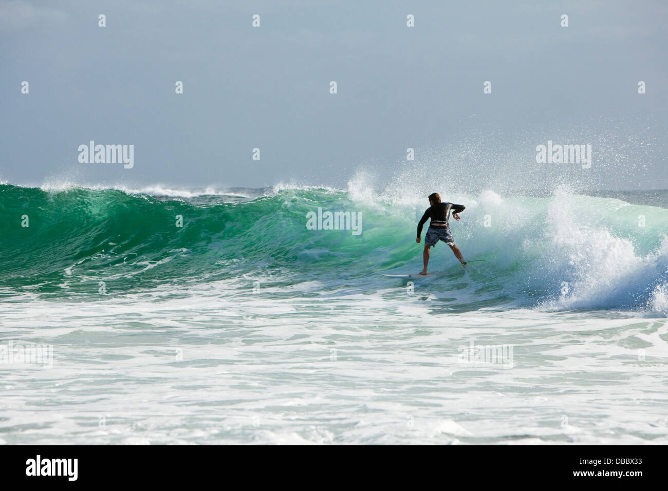 Surfer a cavallo di un onda. Burleigh capi, Gold Coast, Queensland, Australia Foto Stock