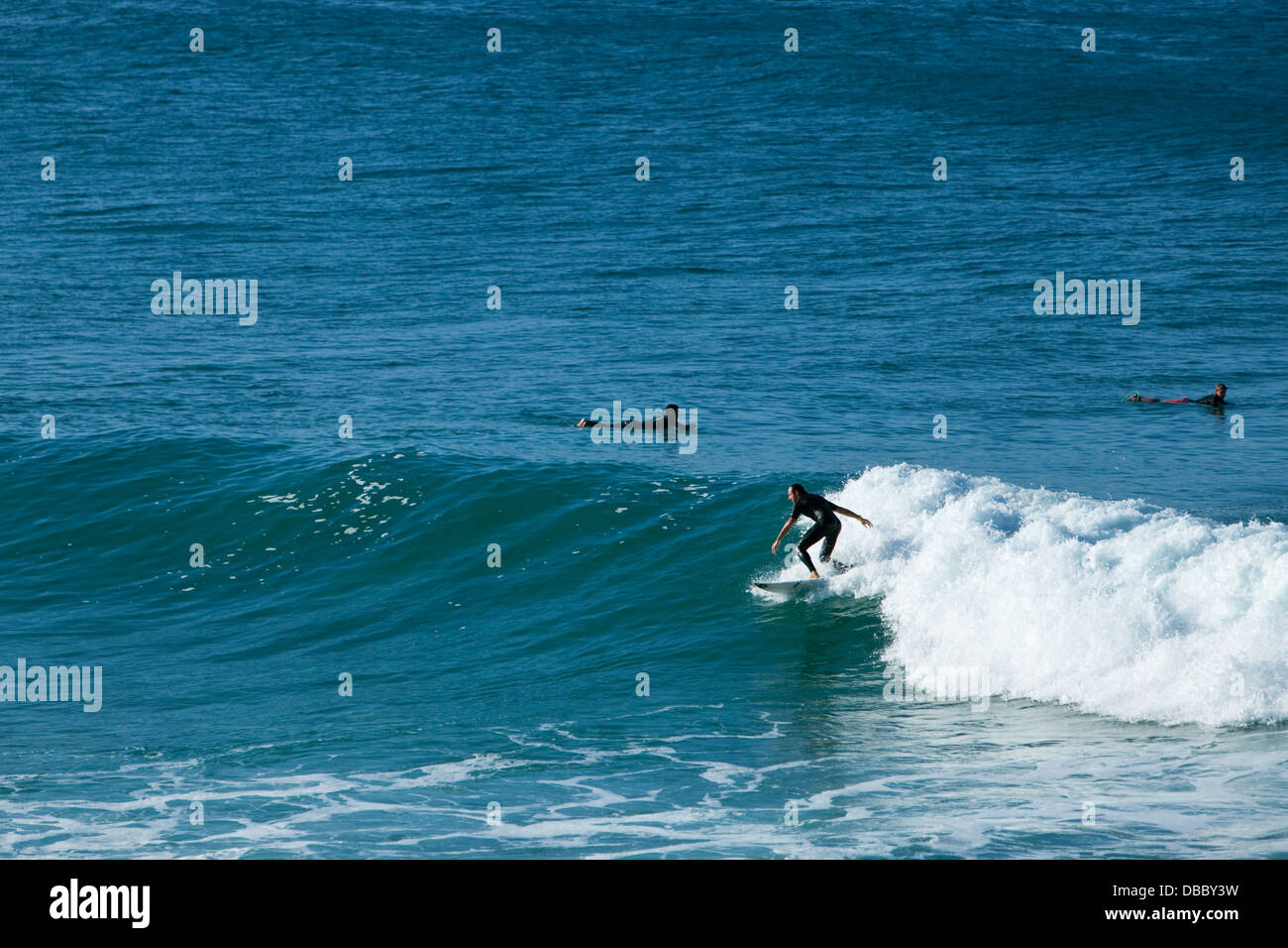 Surfer a cavallo di un onda. Coolangatta, Gold Coast, Queensland, Australia Foto Stock