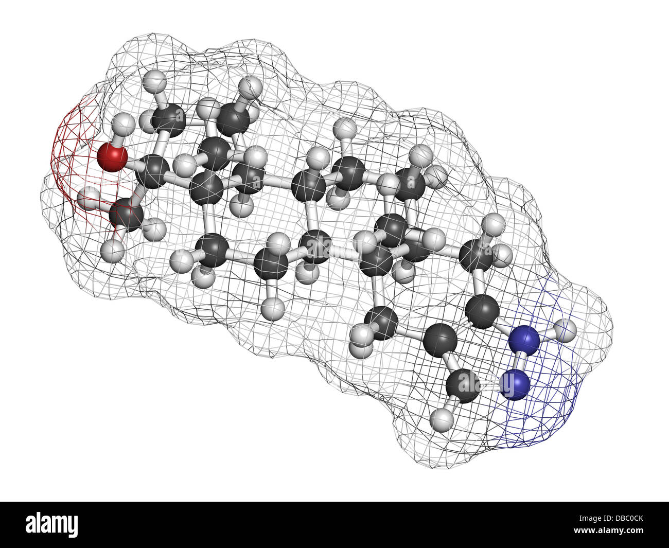 Il segreto della steroidi nel 2021 Un nuovo modello per steroidi