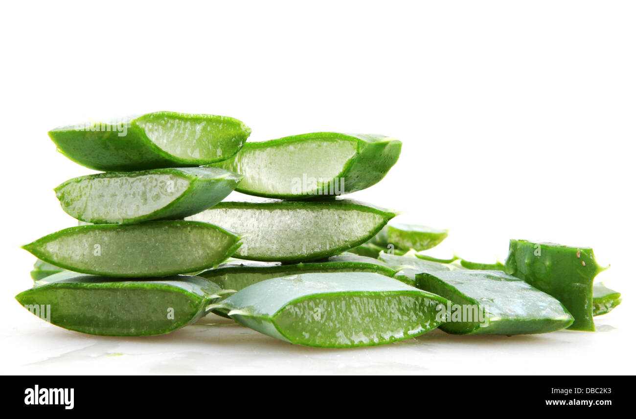 Aloe vera Foto Stock