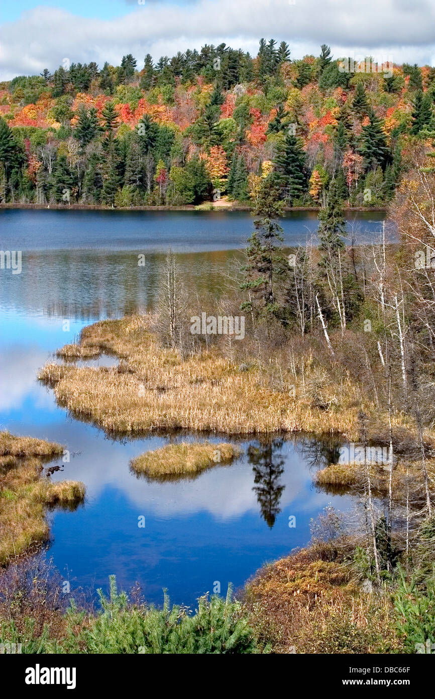 Il colorato fogliame di autunno al Rock vicino Lago Michigan Ishpeming nella Penisola Superiore, STATI UNITI D'AMERICA Foto Stock