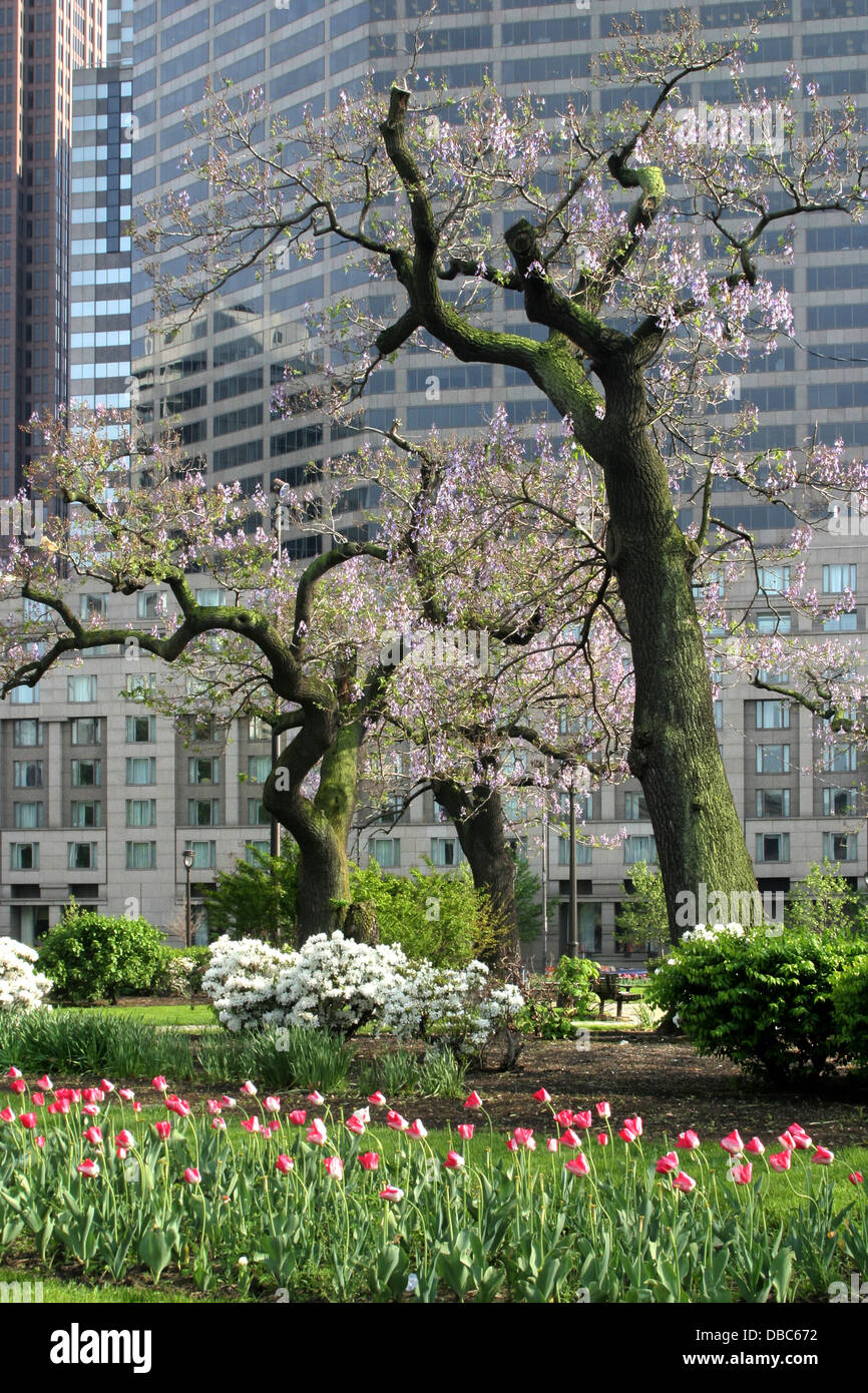 Alberi e fiori in primavera a Logan Square, Philadelphia, Pennsylvania, STATI UNITI D'AMERICA Foto Stock