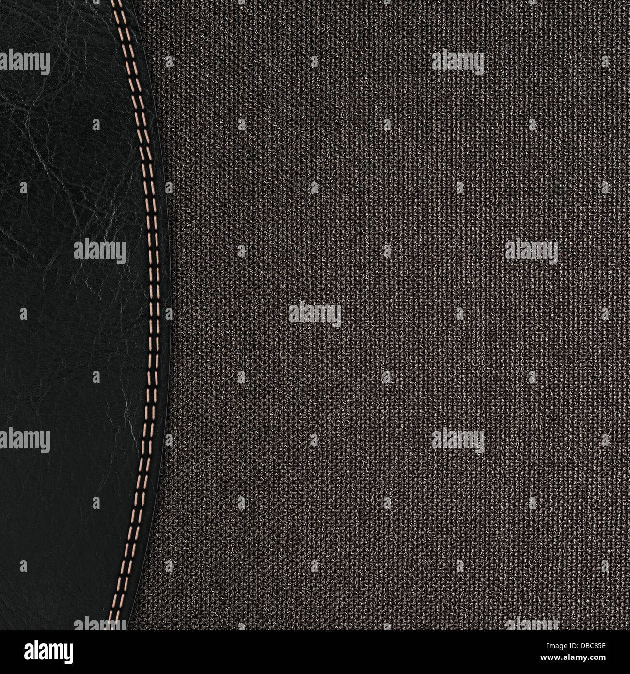 In pelle cucita sullo sfondo Foto Stock