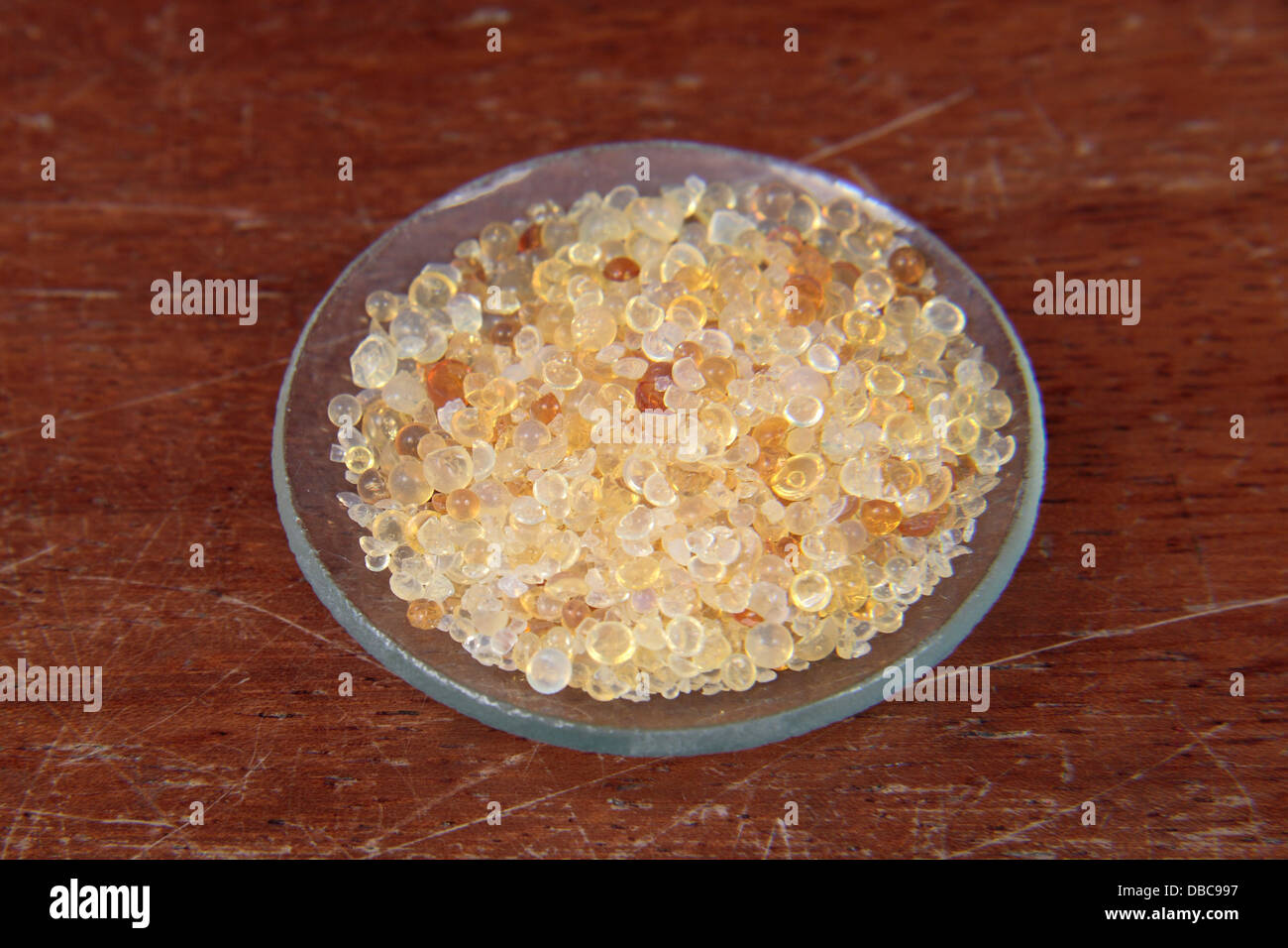Un vetro di orologio contenente gel di silice di perle da un gel di silice  custodia. Gel di silice assorbe l'umidità e può controllo umidità locale  Foto stock - Alamy