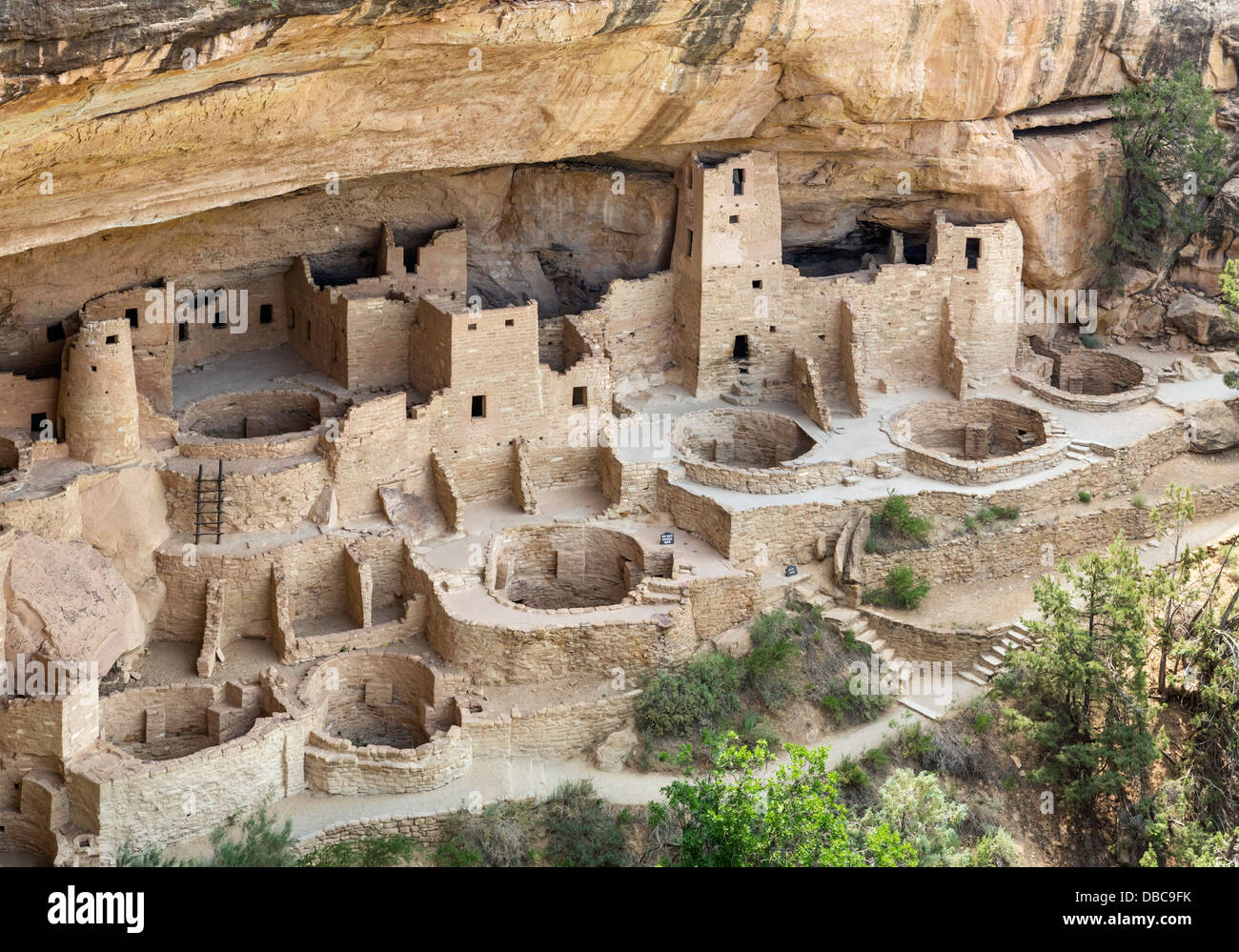 Cliff Palace, antiche abitazioni di anasazi pueblo, Mesa Verde National Park, Cortez, Colorado, USA. Dimora scogliera. Foto Stock