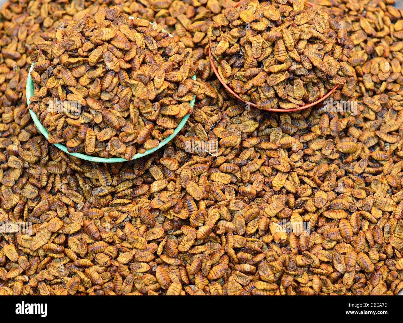 Beoundegi silkworm pupa in vendita come uno snack a Seul, in Corea del Sud. Foto Stock