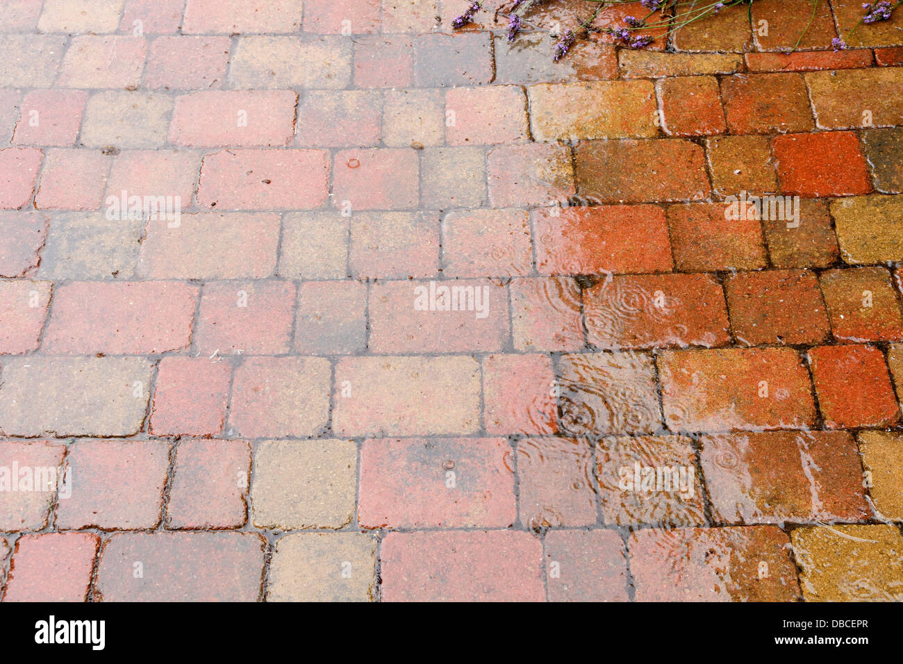 Gocce di pioggia pesante schizzi sul rustico rosso mattone pavimentazione patio nel giardino del Regno Unito con giunti poroso che agisce come superficie di acqua soakaway Foto Stock