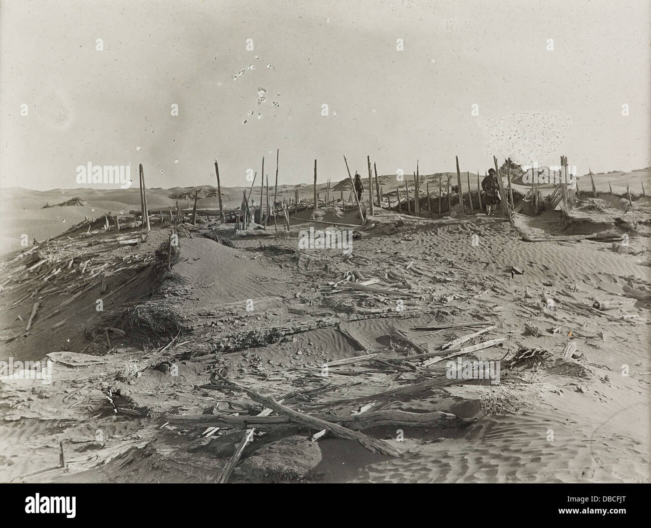Questa immagine mostra un ritratto di Niya, un soggetto identificato dal riferimento BLP164 PHOTO392 34 165. La fotografia cattura un soggetto storico o artistico in un ambiente formale, anche se i dettagli specifici di Niya rimangono poco chiari. Foto Stock