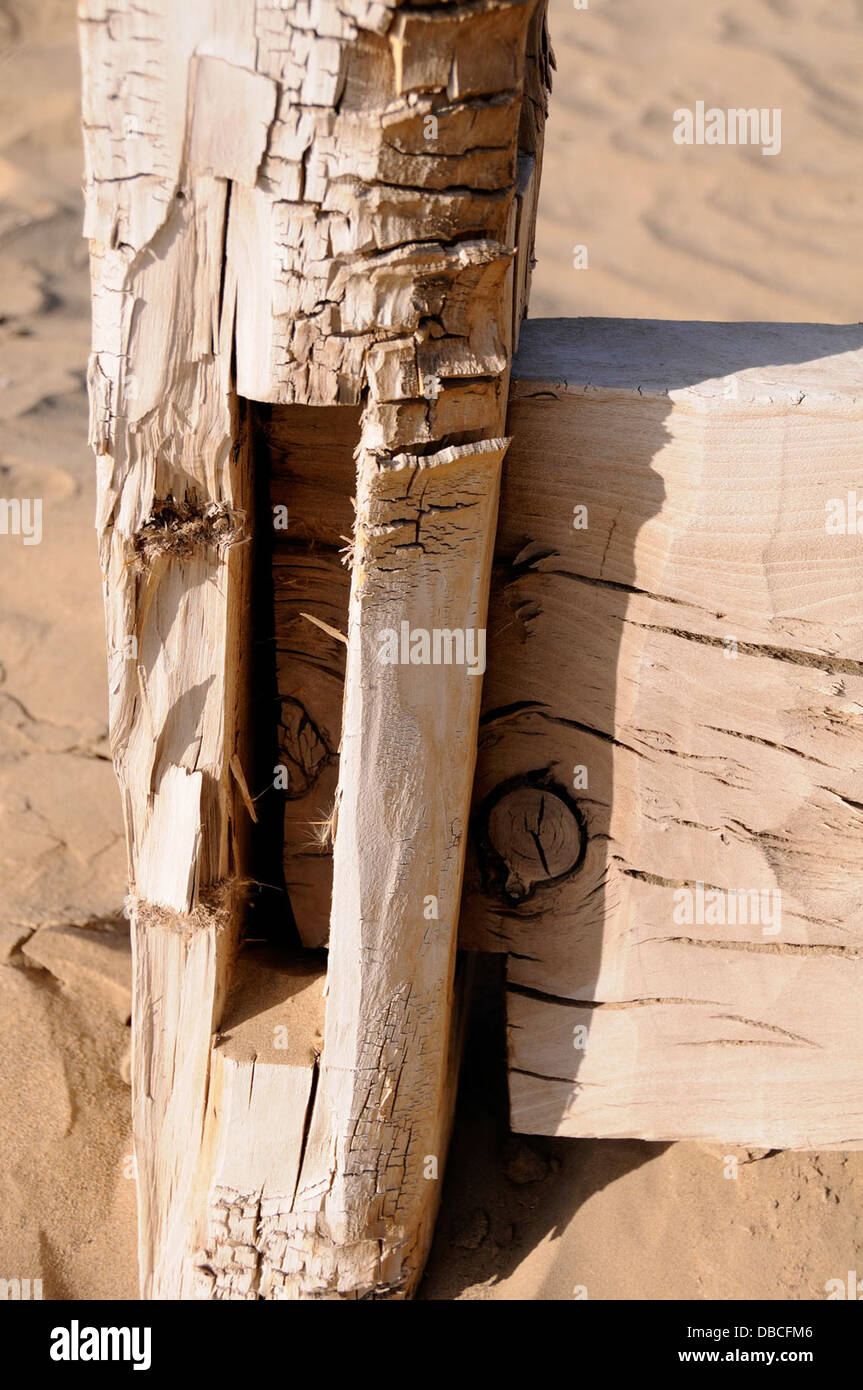 Questa fotografia raffigura un giunto di infilare e tenone trovato nella regione di Niya nello Xinjiang, in Cina. La struttura mette in mostra antiche tecniche di costruzione utilizzate nella regione. Foto Stock
