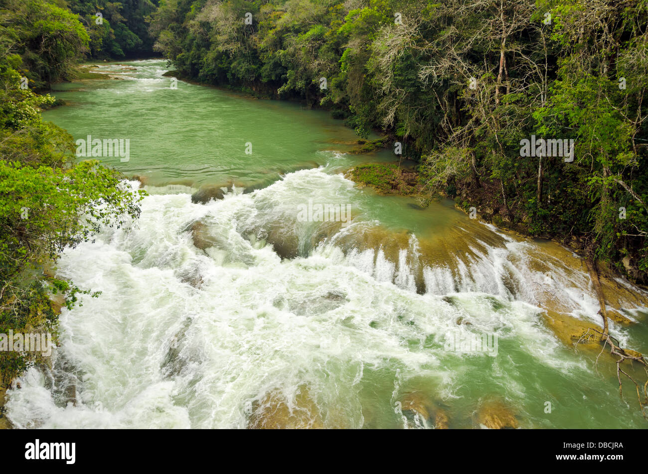 Rapide di un fiume verde nel deserto del Chiapas, Messico Foto Stock